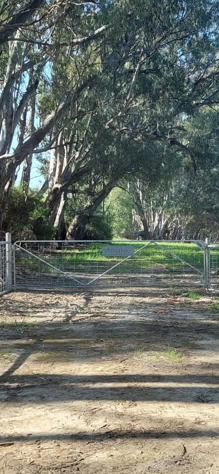 Amaroo On McLays