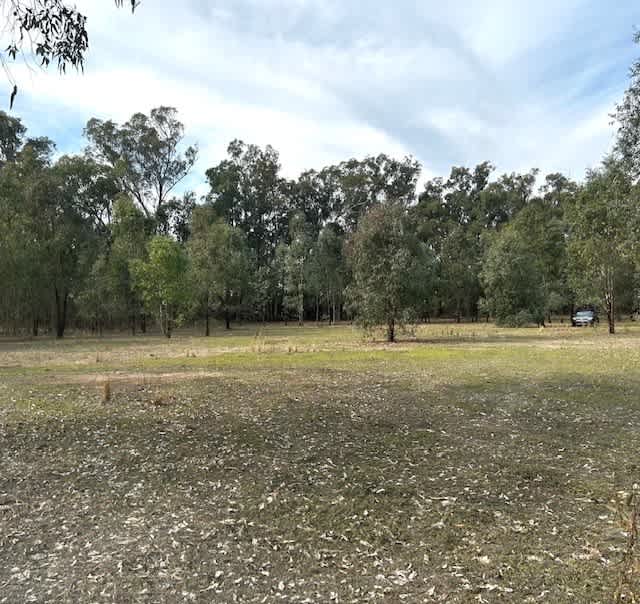 Amaroo On McLays