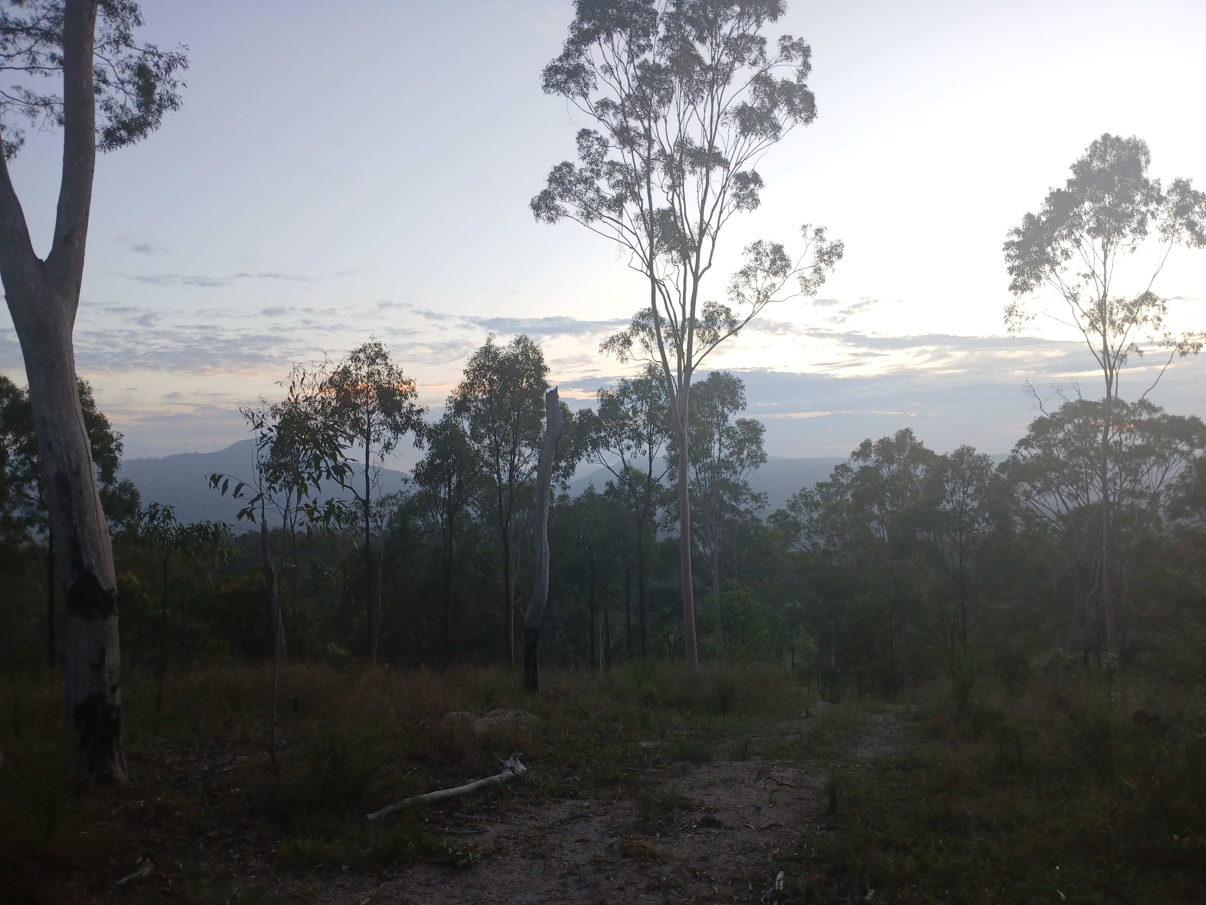 Mountain View - Mount Perry Farm