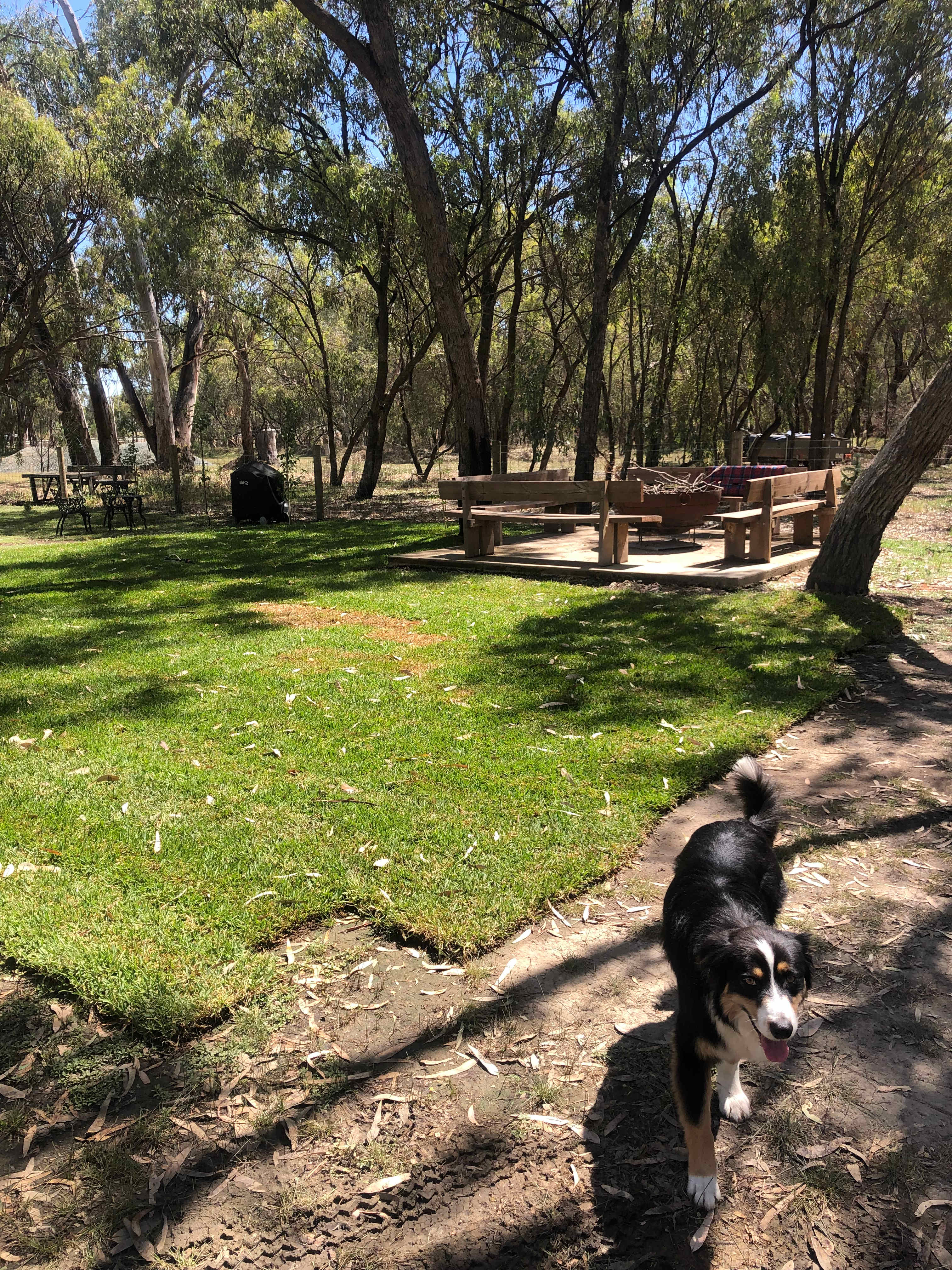 Radcliffe in Echuca