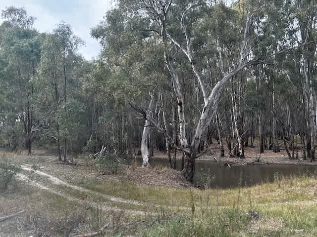 Amaroo On McLays