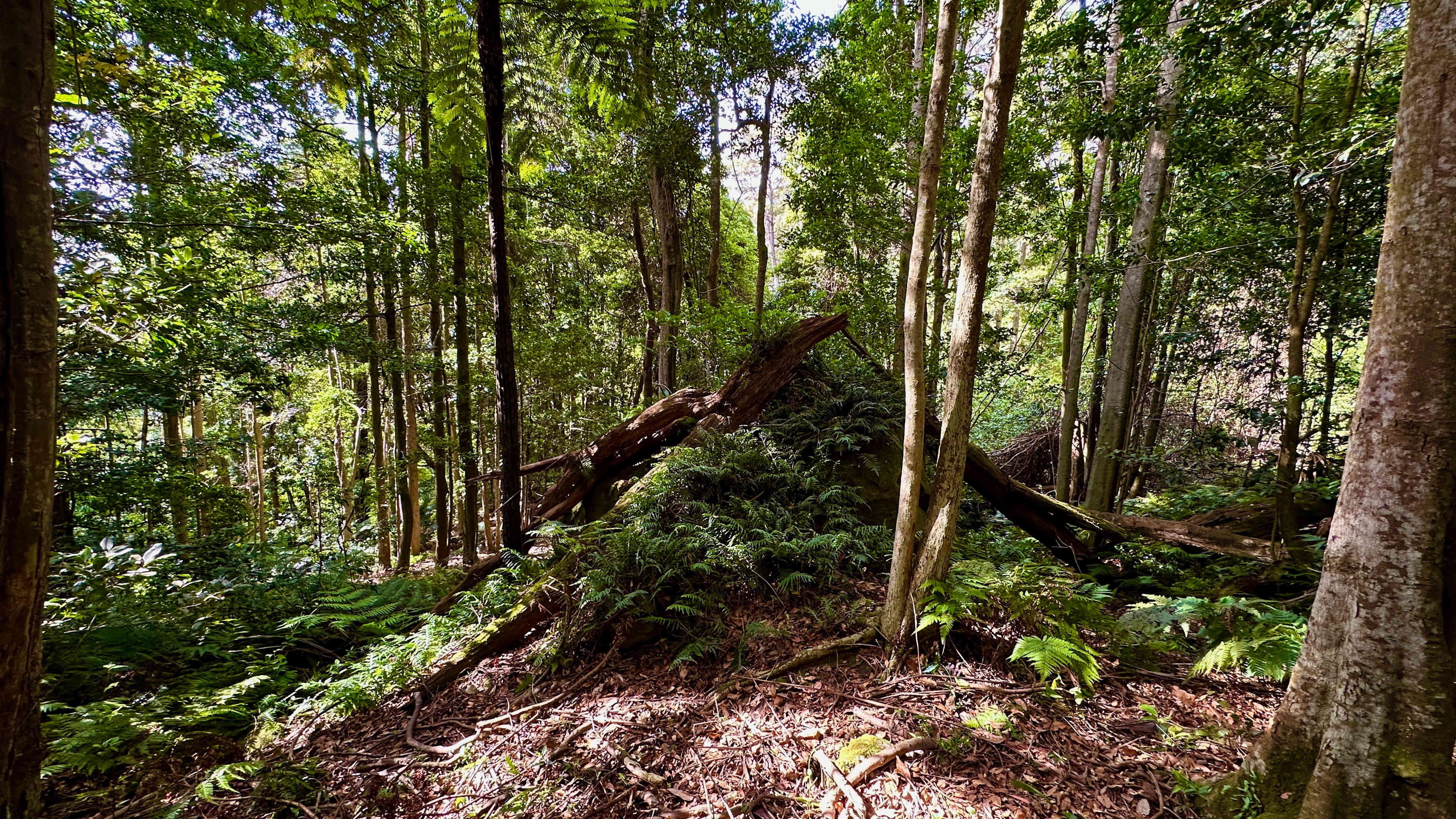 An amazing private campsite is on the other side of this large rock