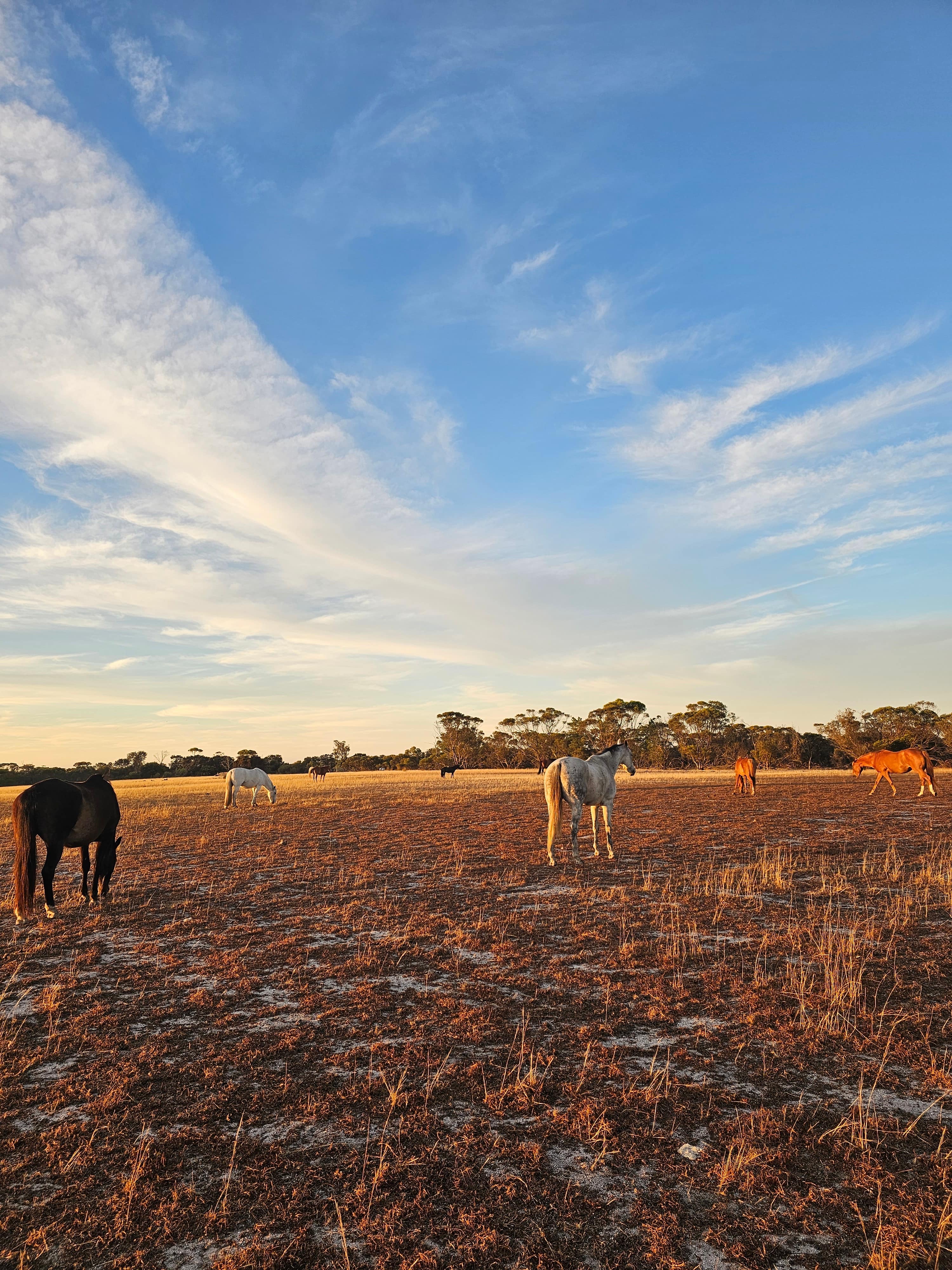 Tiradee Farm Stay