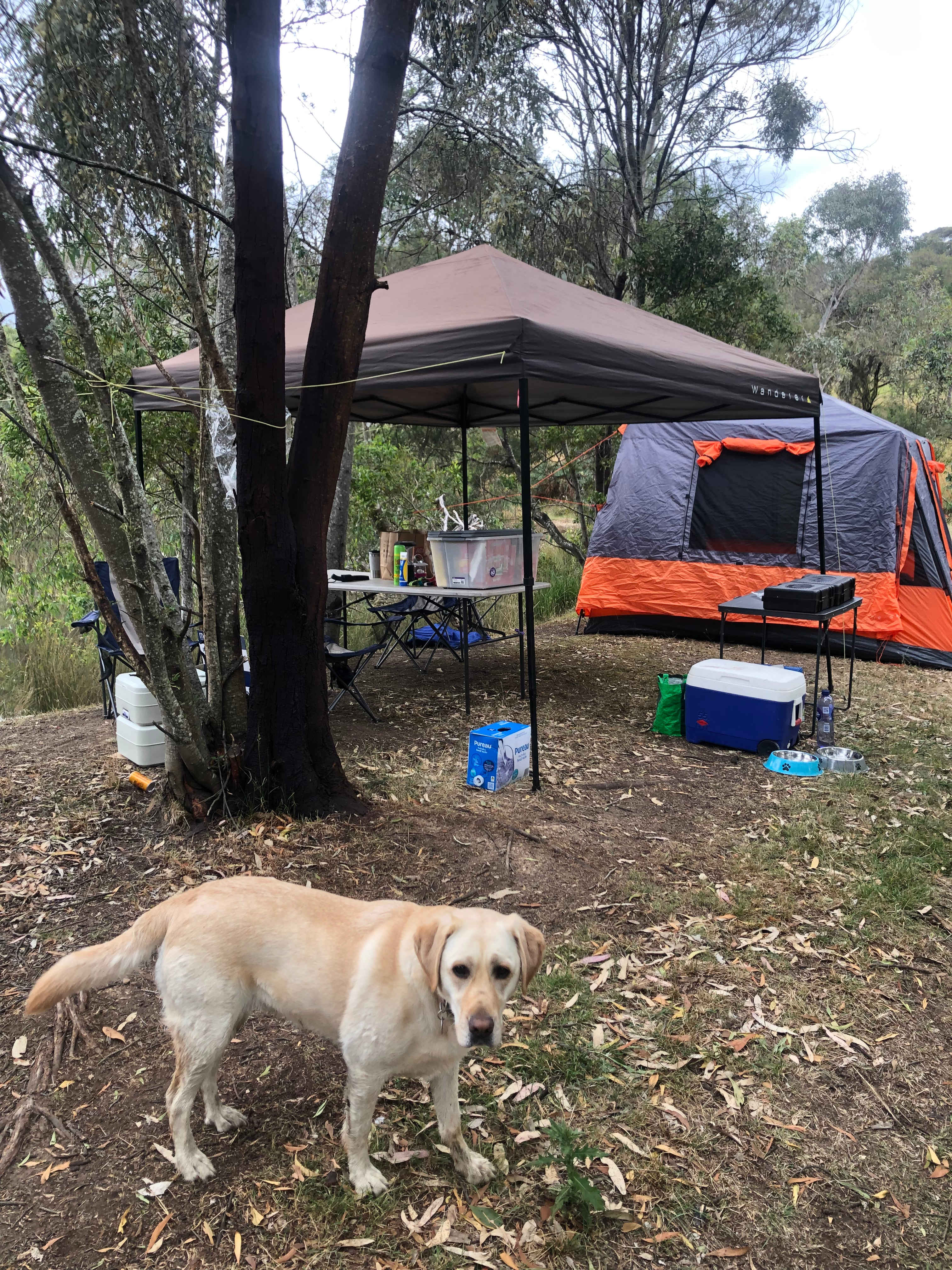 Reedy Creek Camping