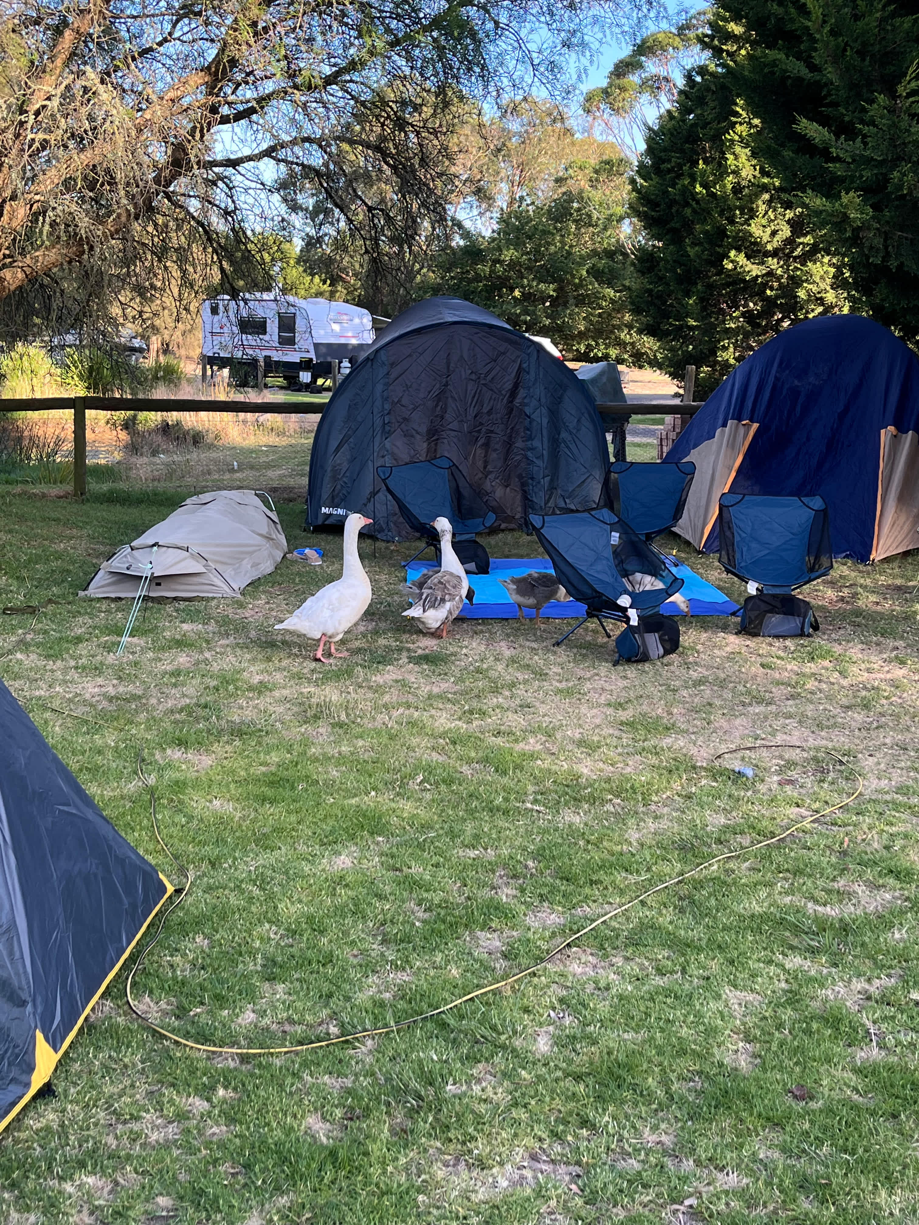 Swan Bay Road Wallington