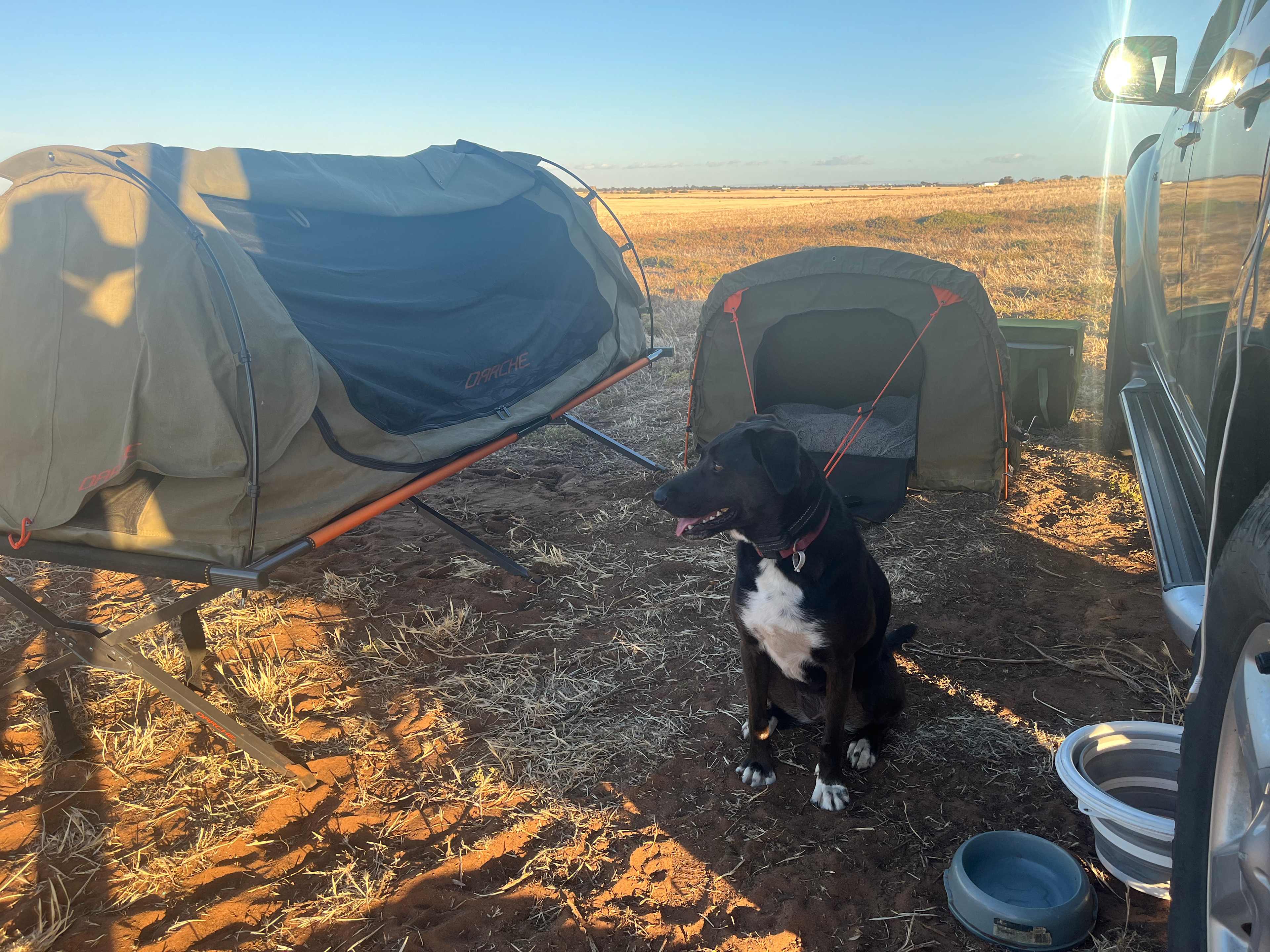 Camp with Horses close to the Beach