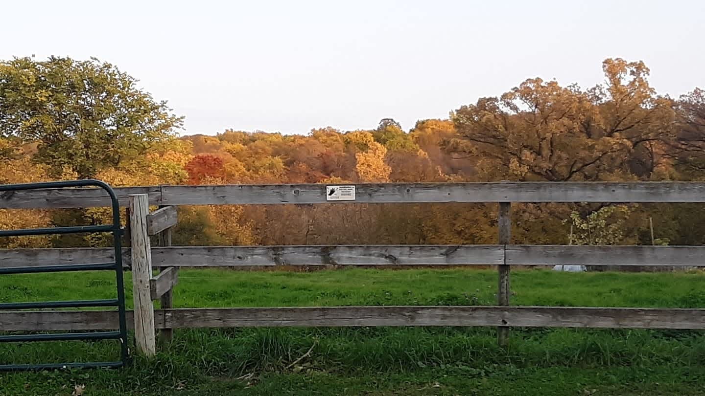 1854 * 7th Gen Farm * Cowboy Casita