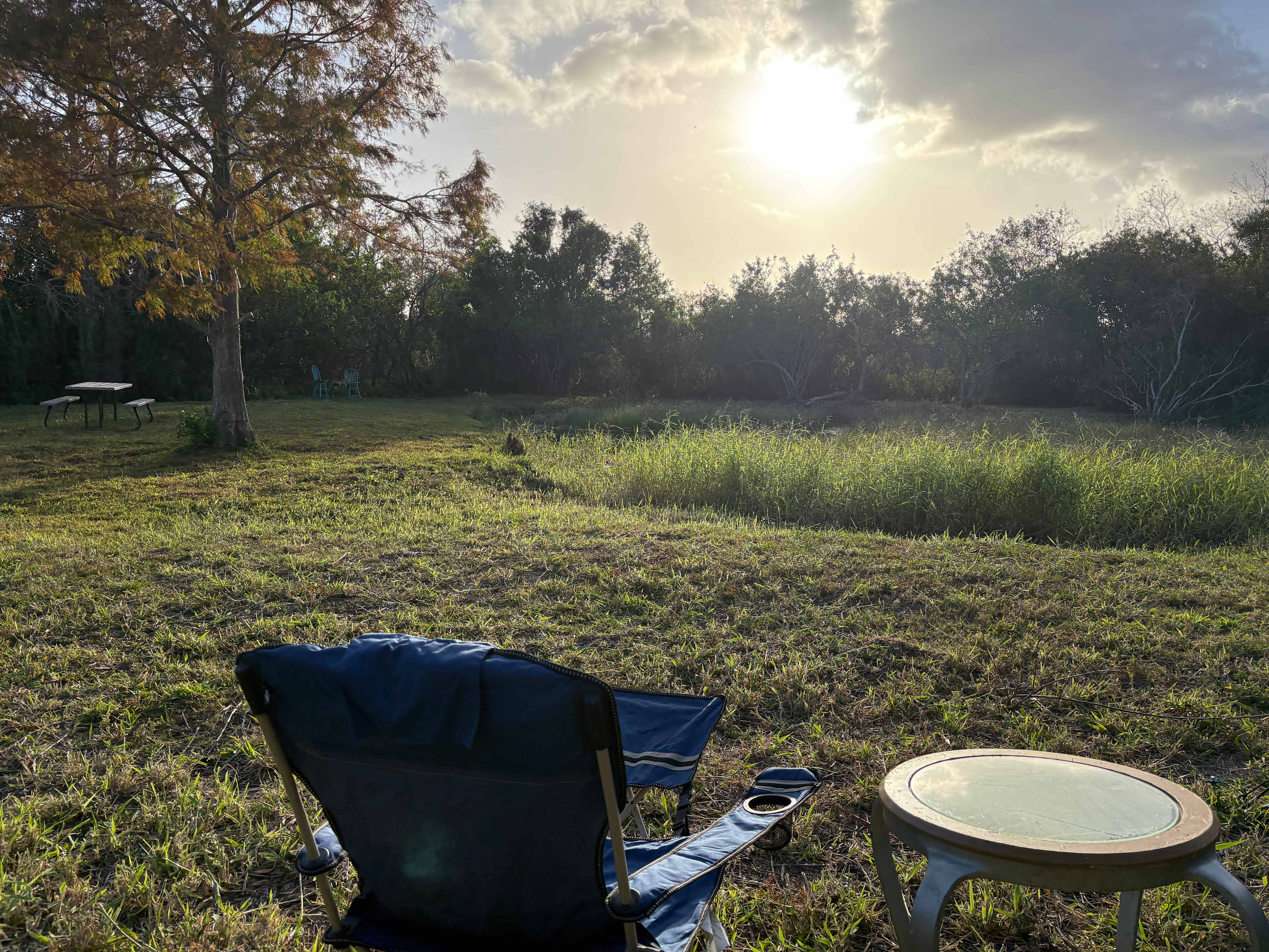 Wonderland Camping. Music and Arts