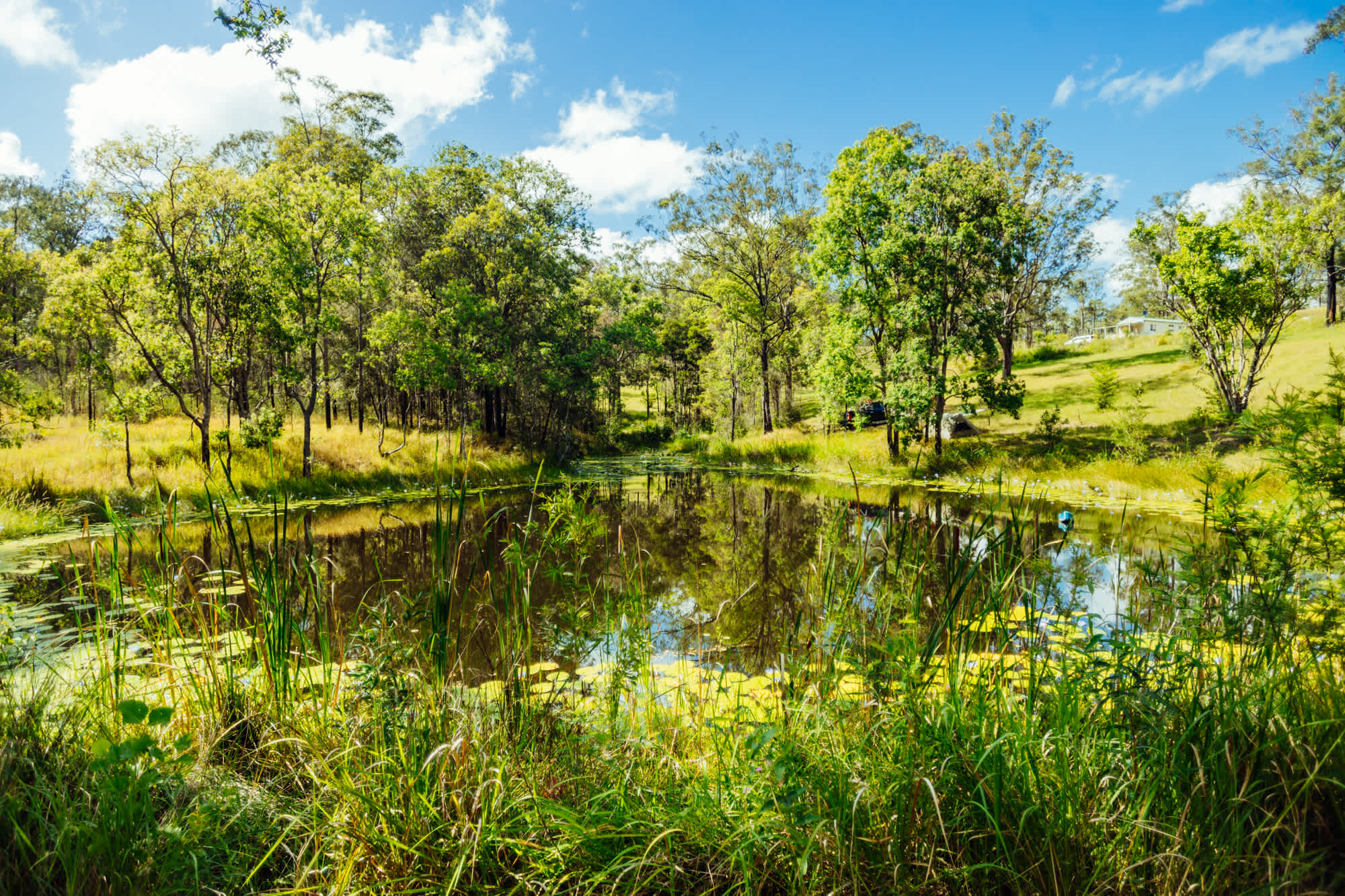 dam on the property