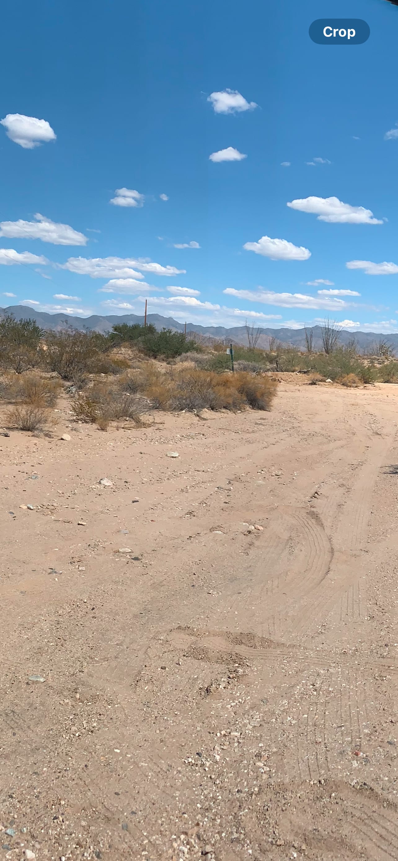 Ruby Road Desert Camp