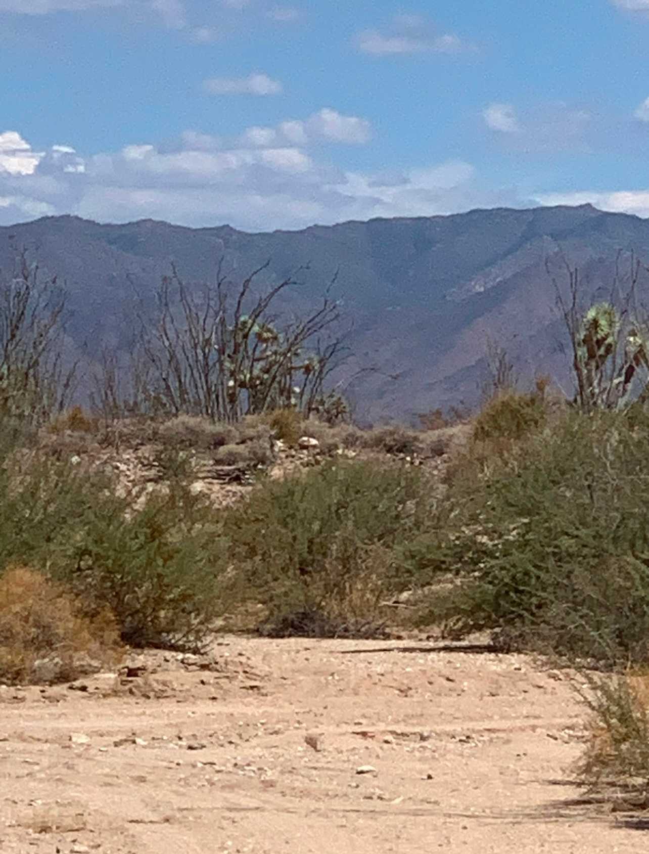 Ruby Road Desert Camp