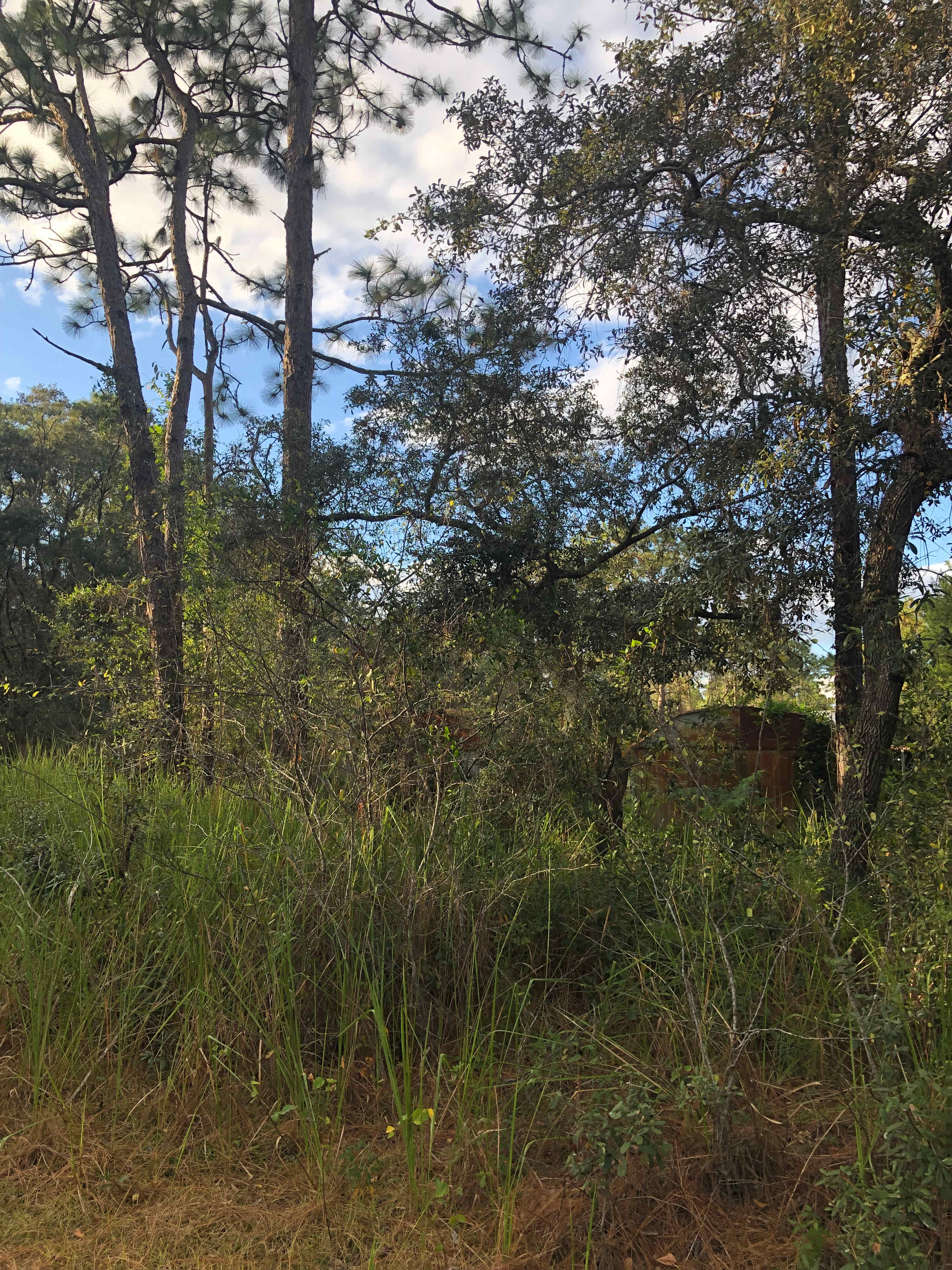 The Ashram