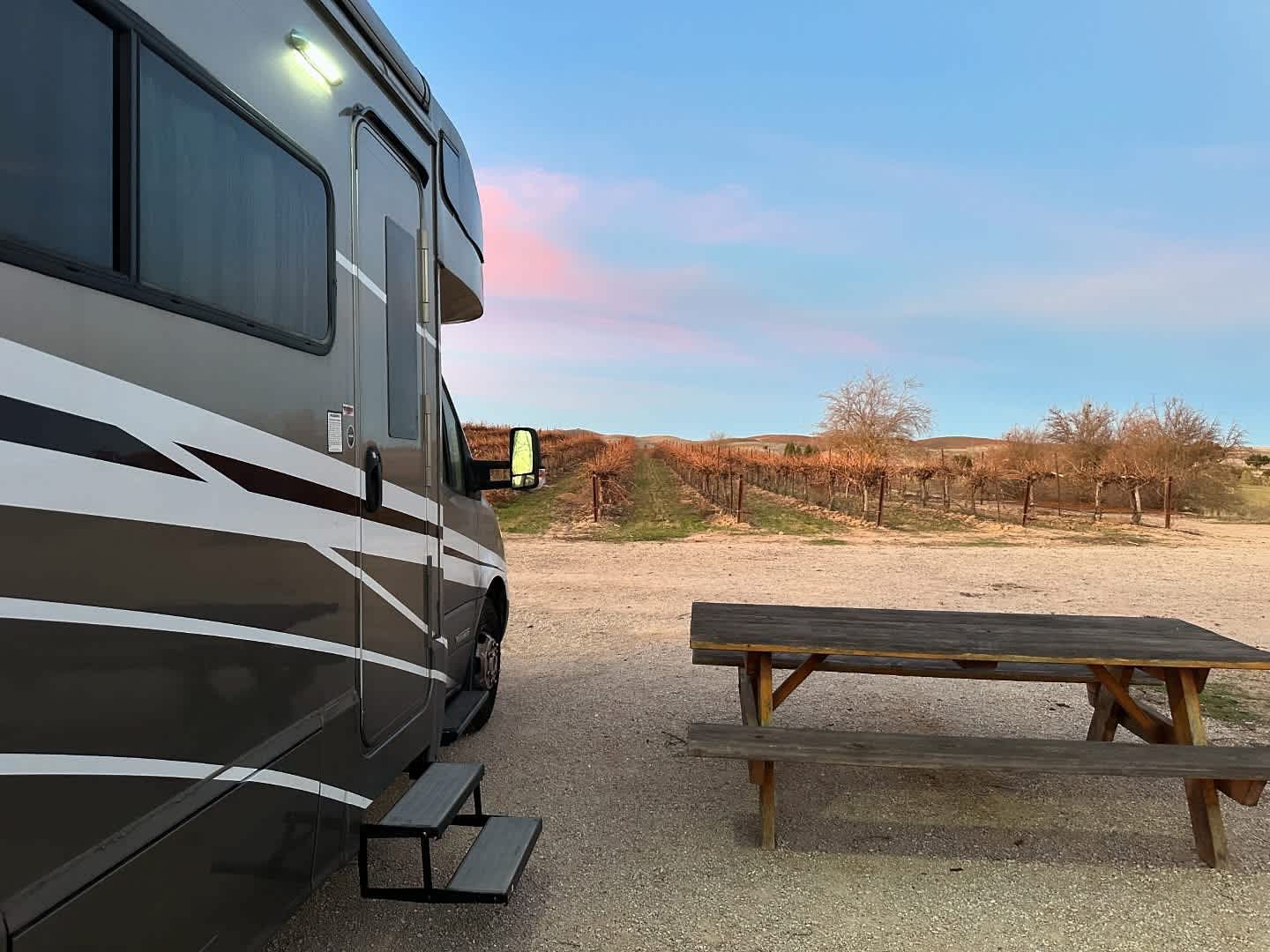 Campsite in the Vineyard