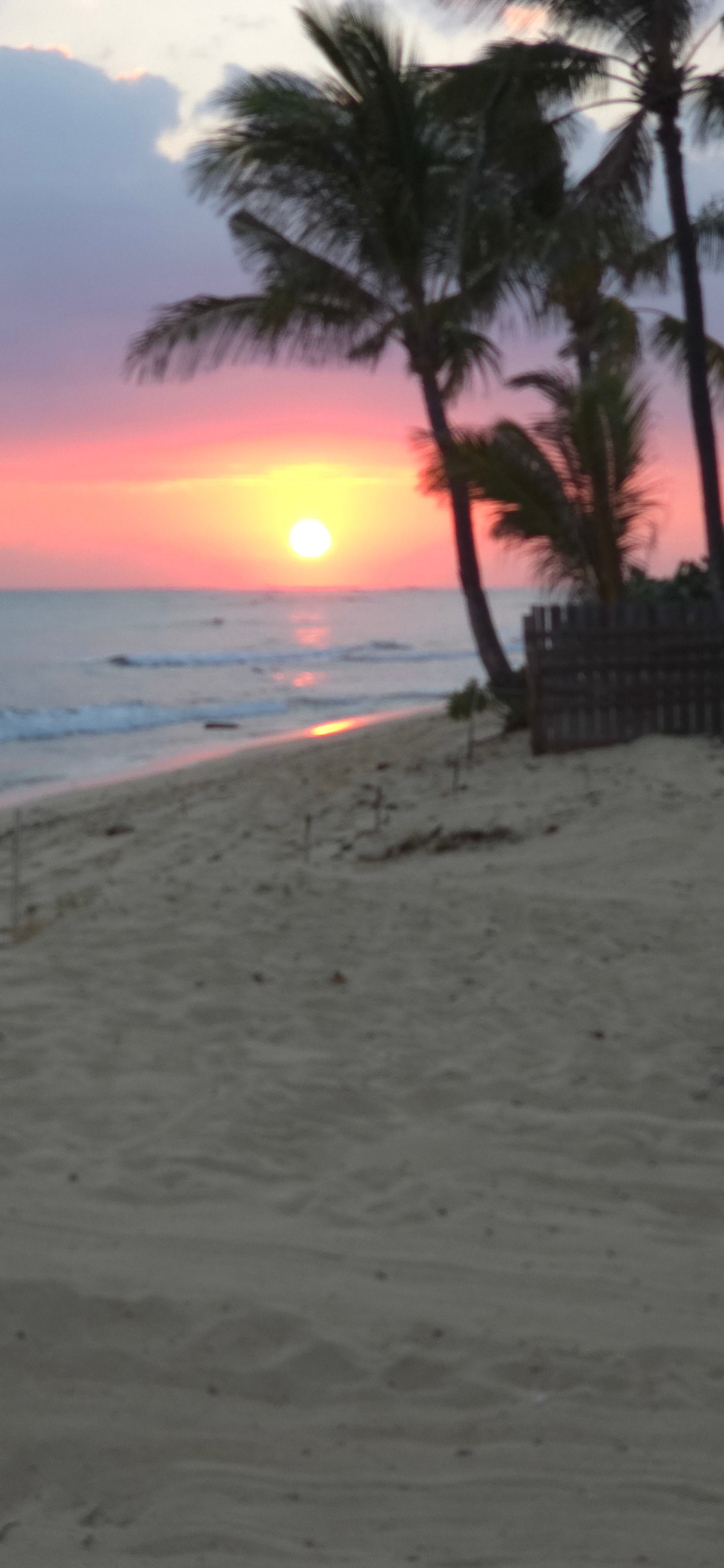 The Beach