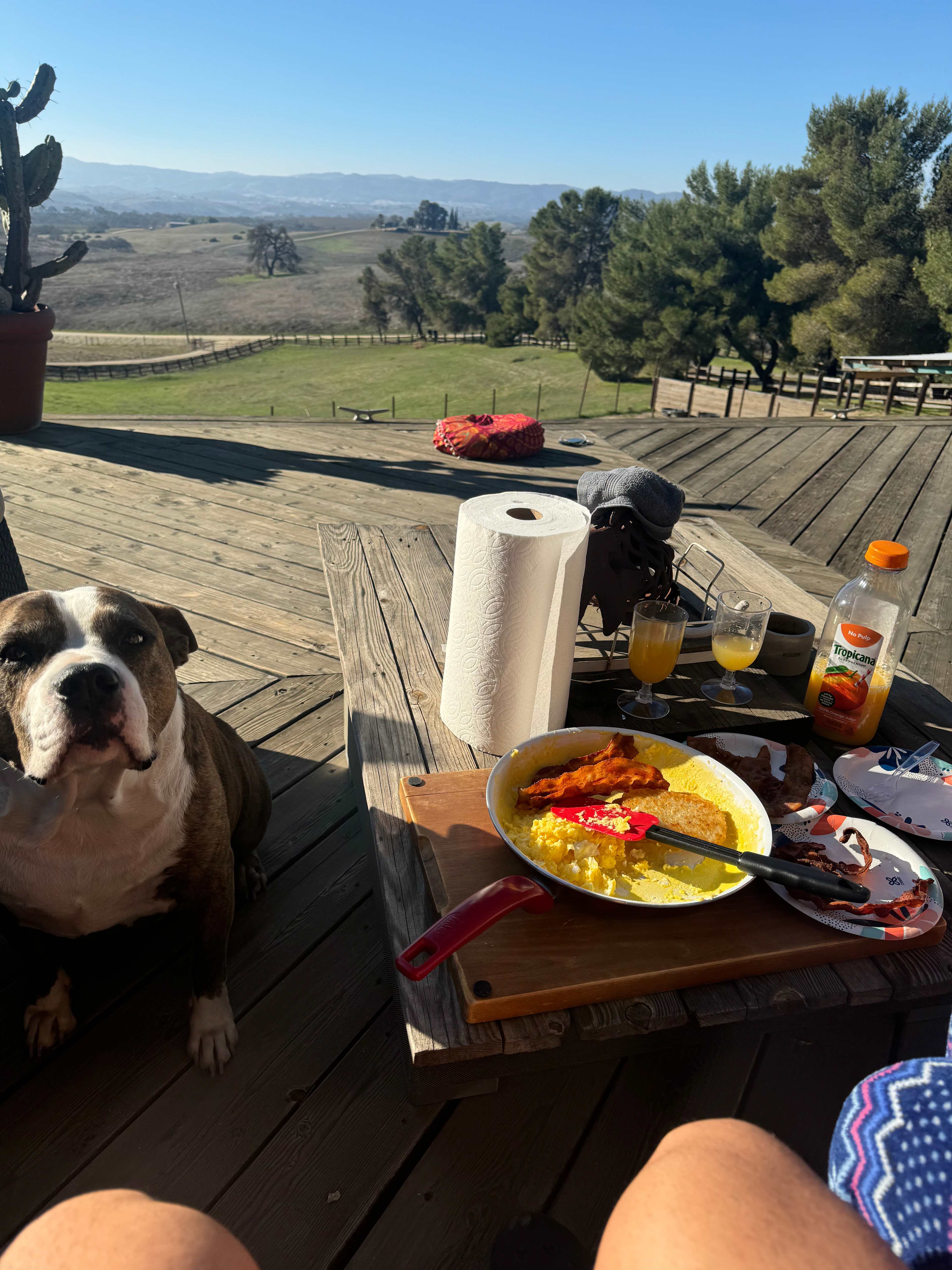 Sunrise meditations from the deck were my favorite! Breakfast with a view a close second. 