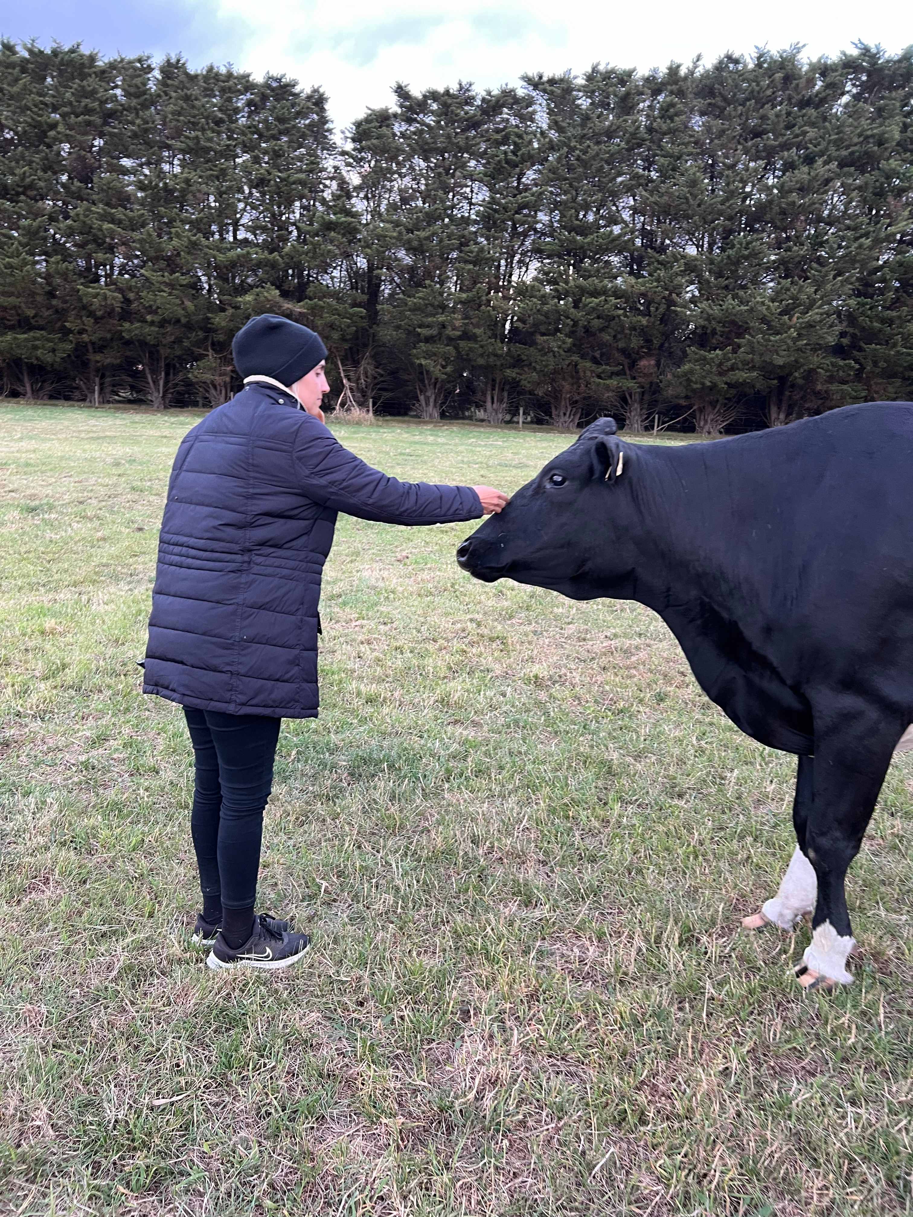 FeatherLeaf Sanctuary