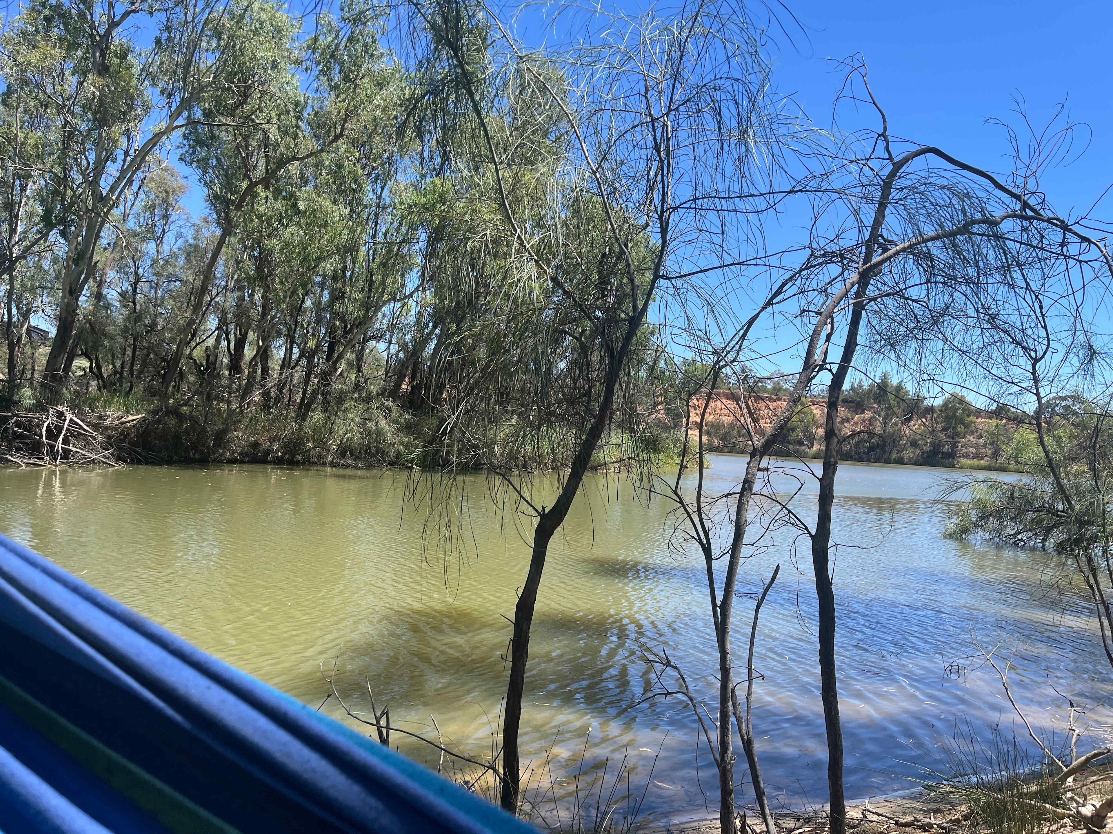 Rondel River Reserve