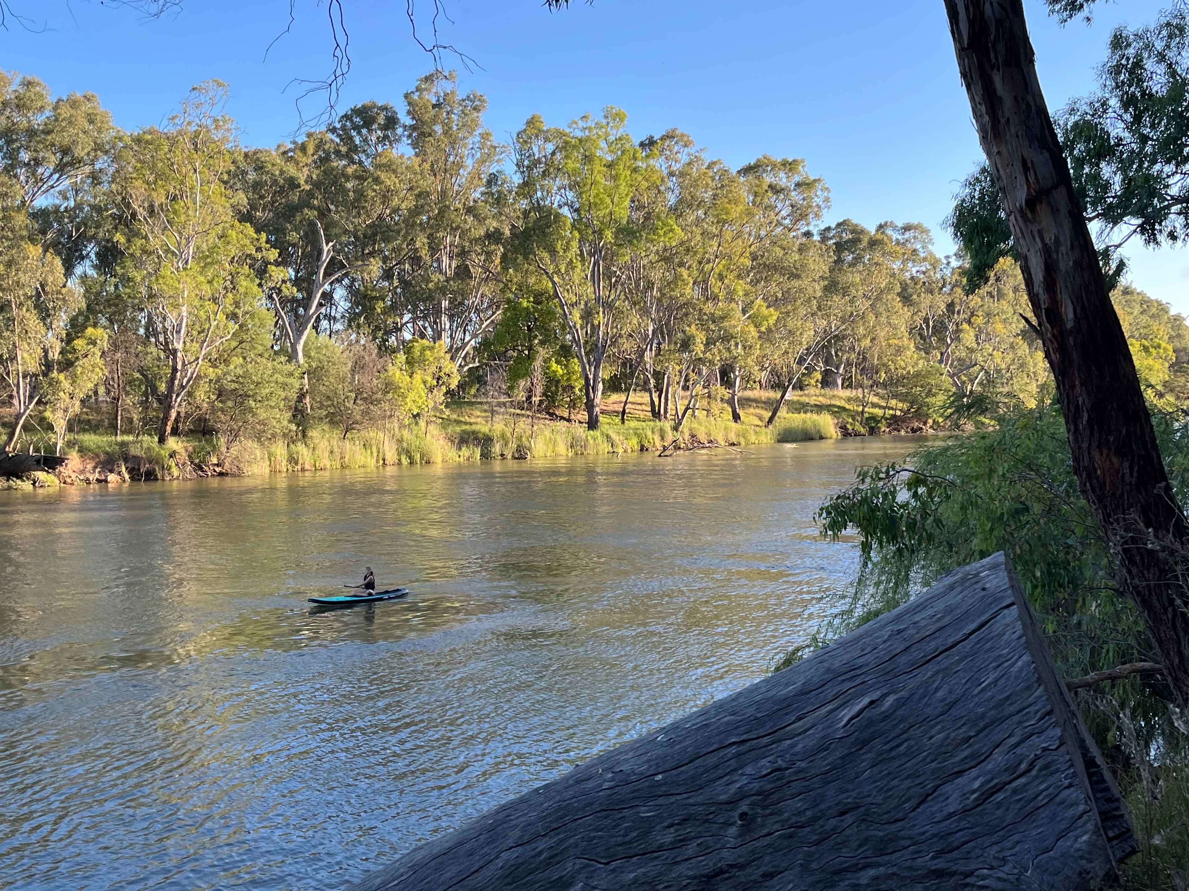 Banks of the Murray, Corowa