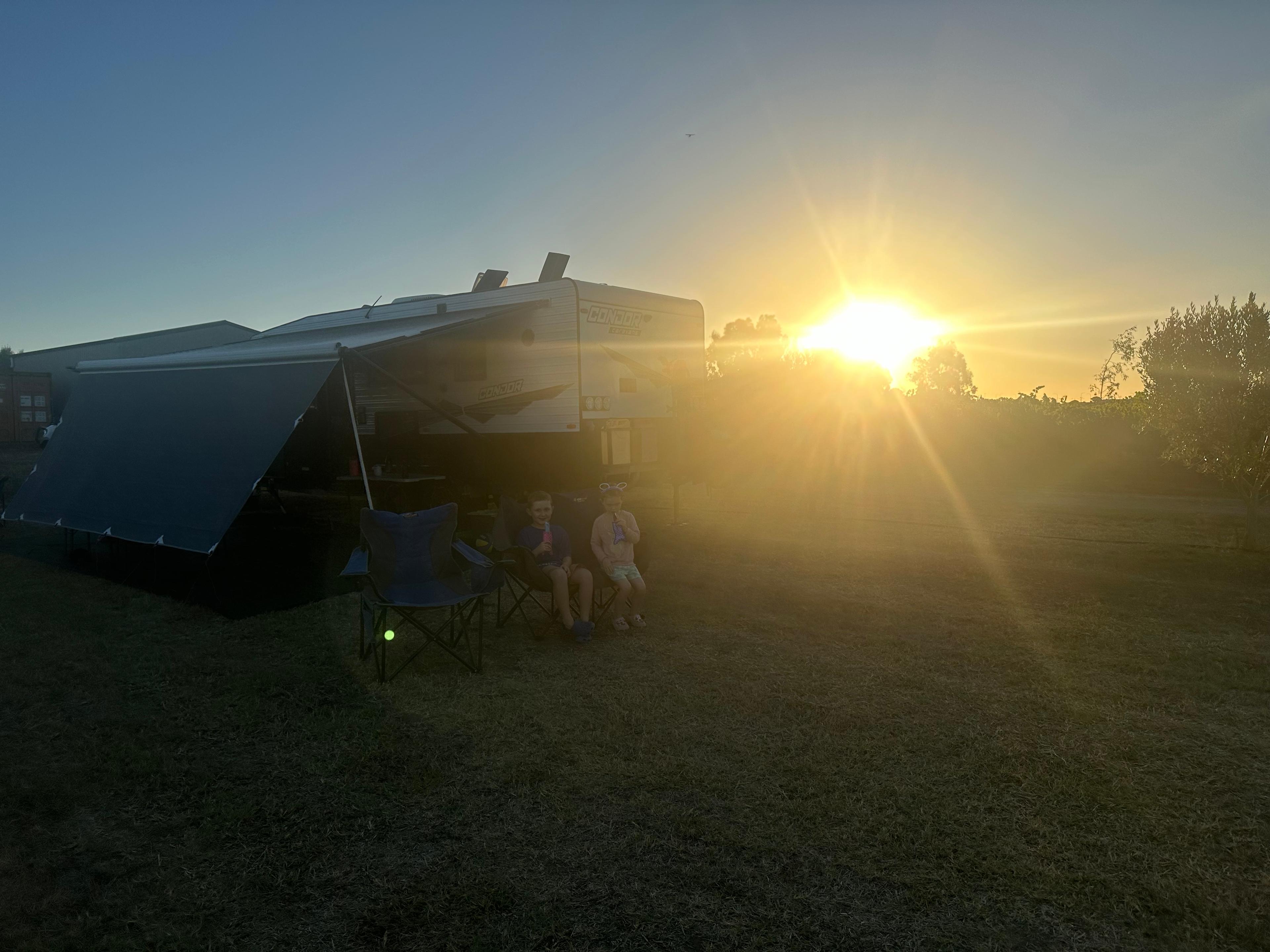 McLaren Vale Vineyard