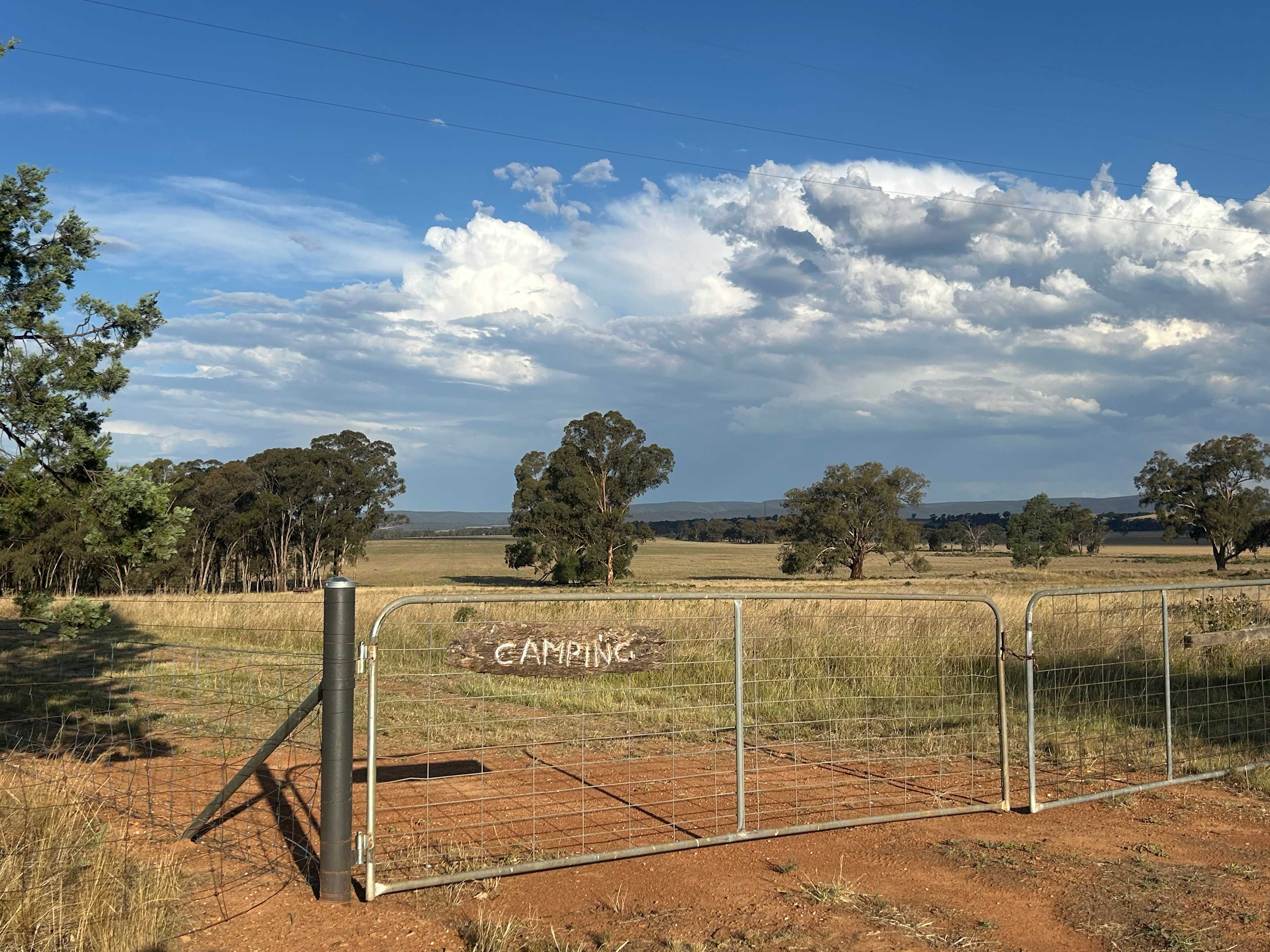 Burrill Creek Camping