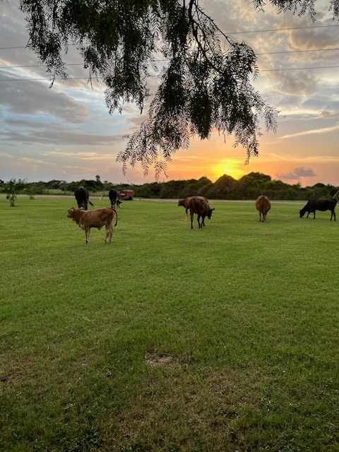 Sunny Days Farm and Ranch