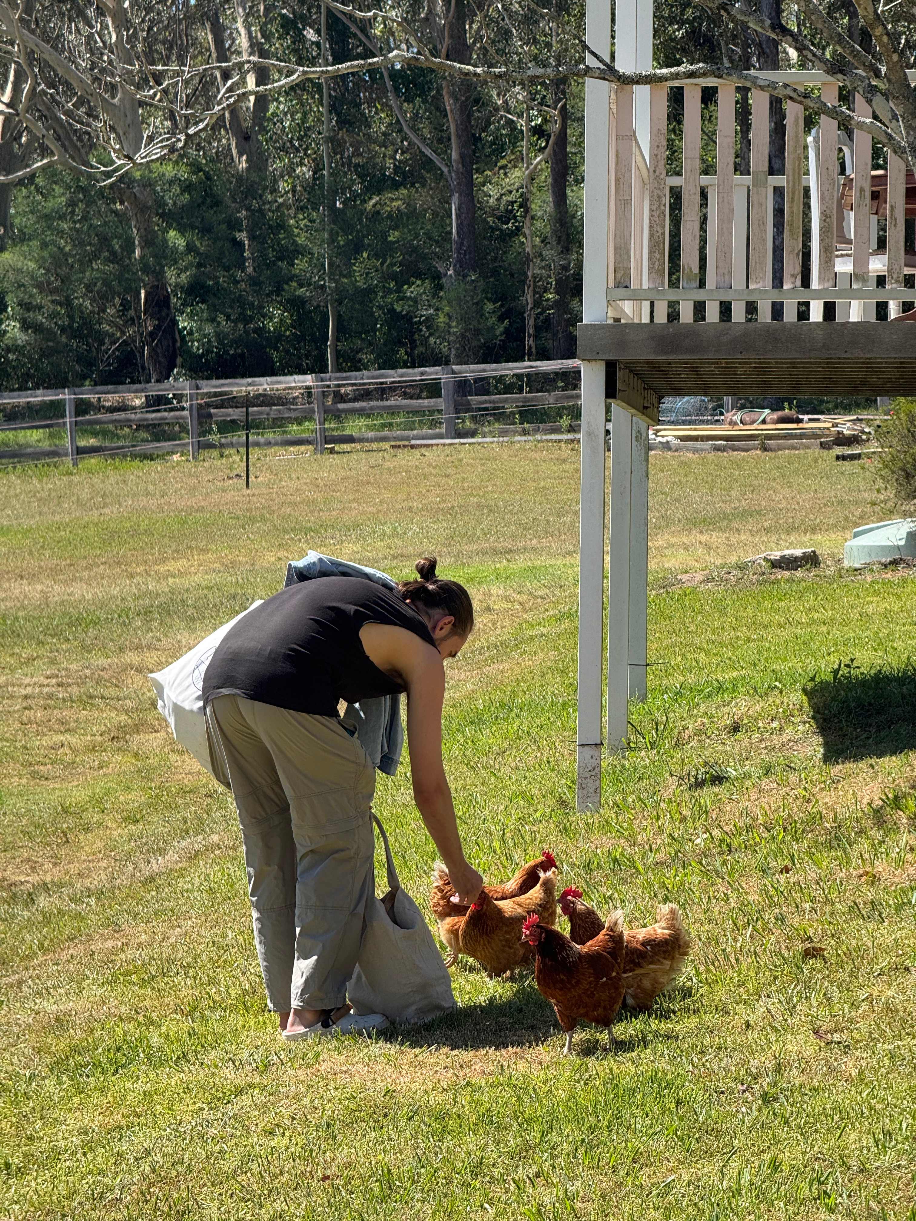 Currambene Creek Farm