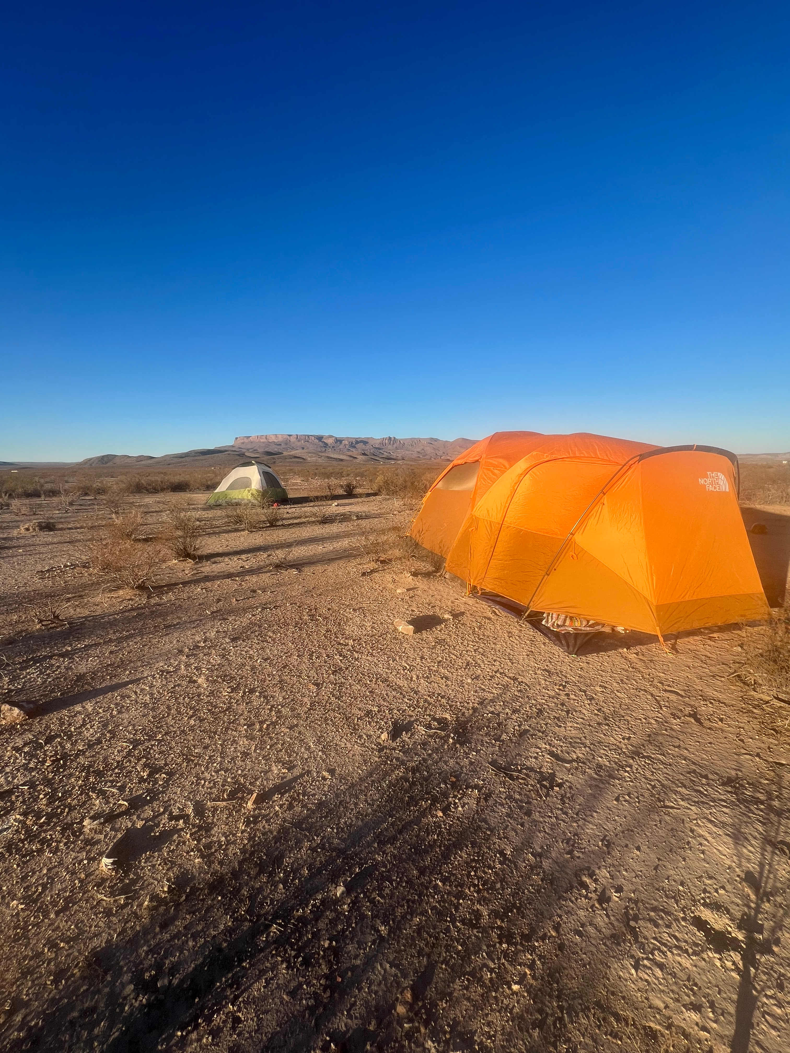 Plenty of tent space 