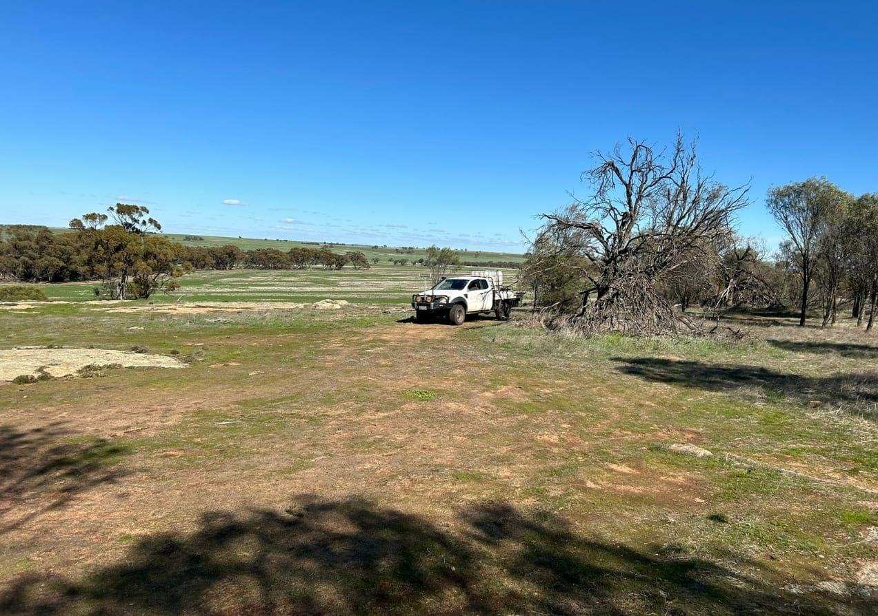 Qualin Farm bush camp