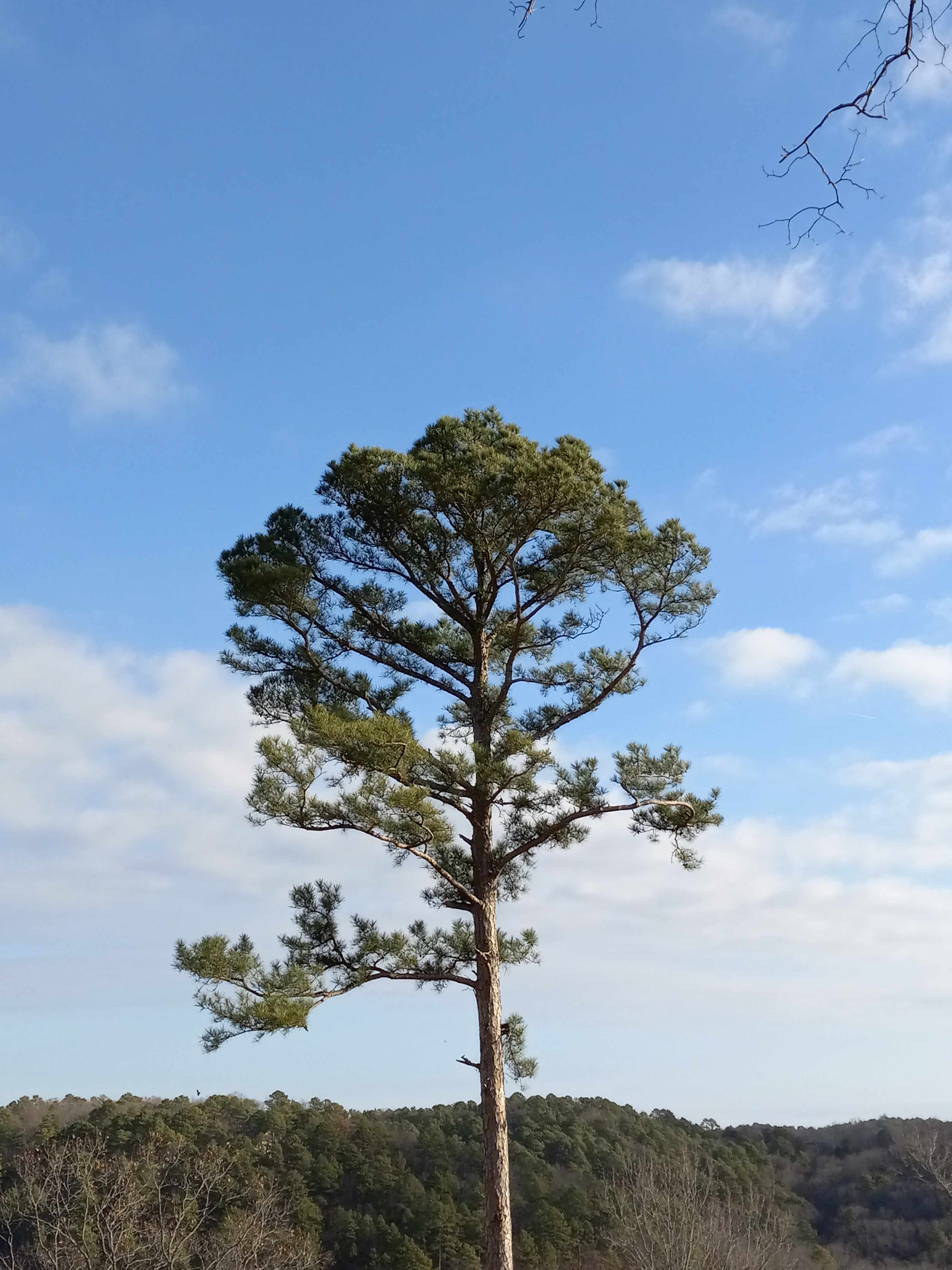 Route 62 Motor Resort