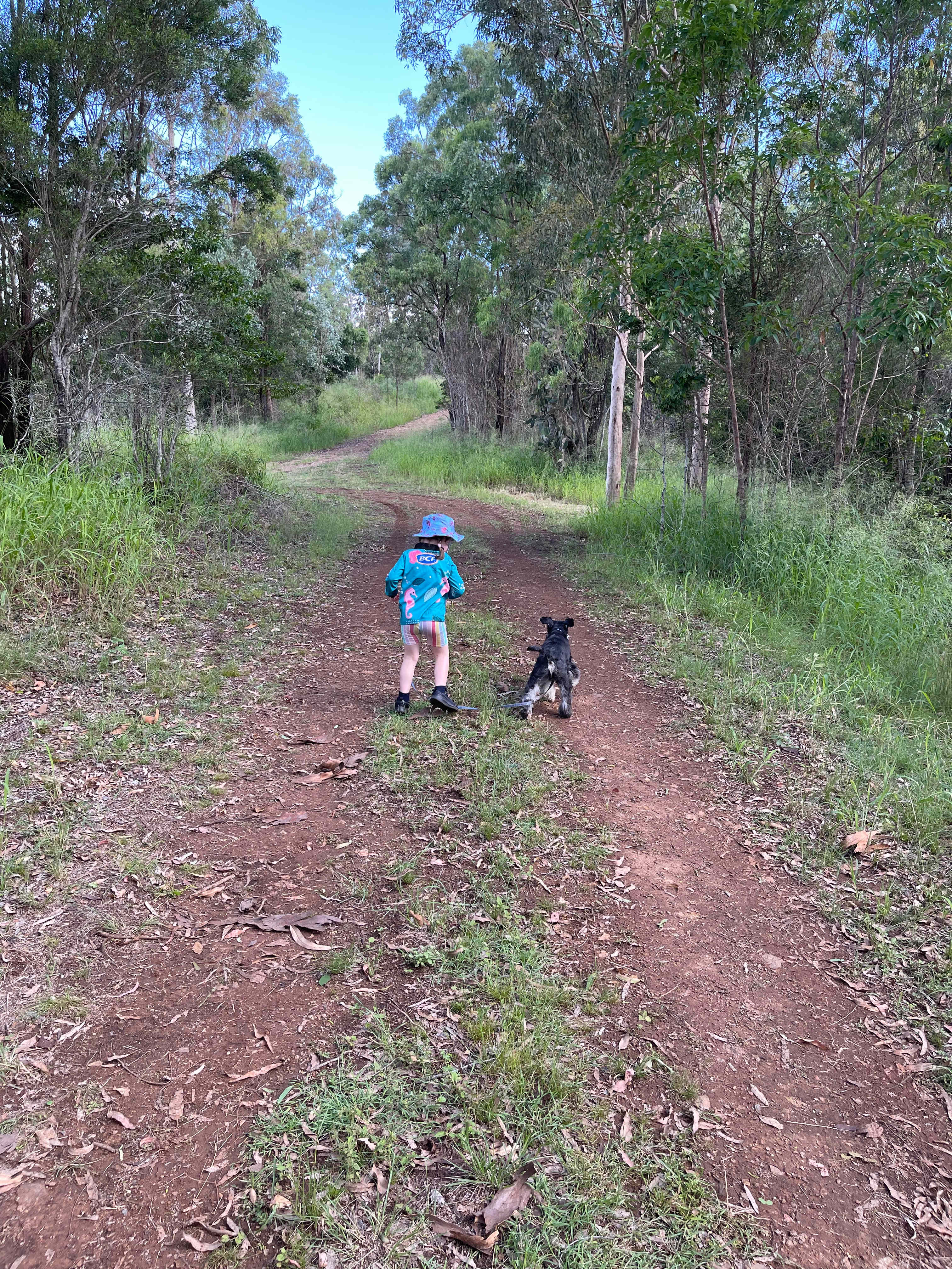 Somerset Dam Private Bush Camp