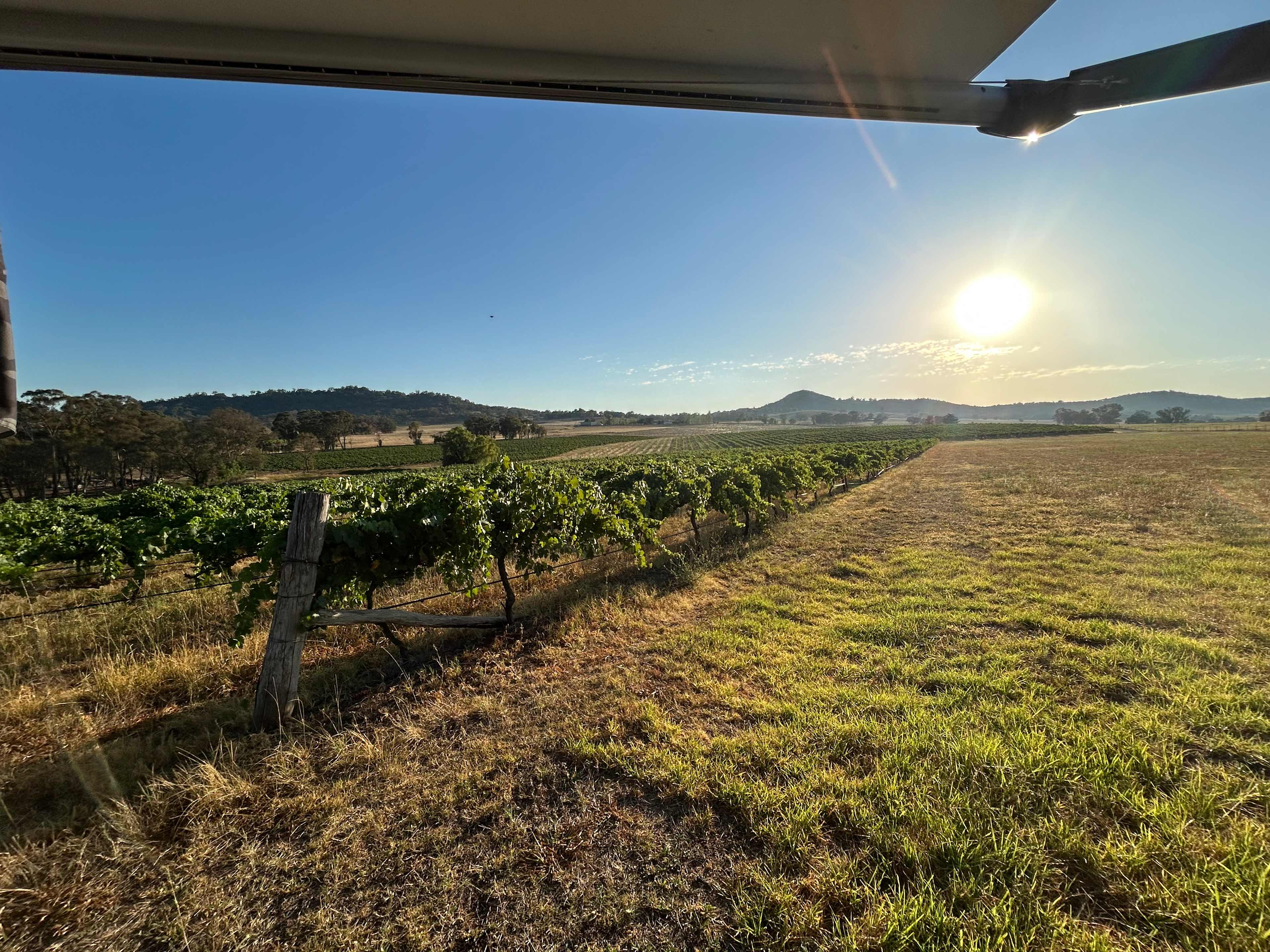 Vans in the Vines Mudgee