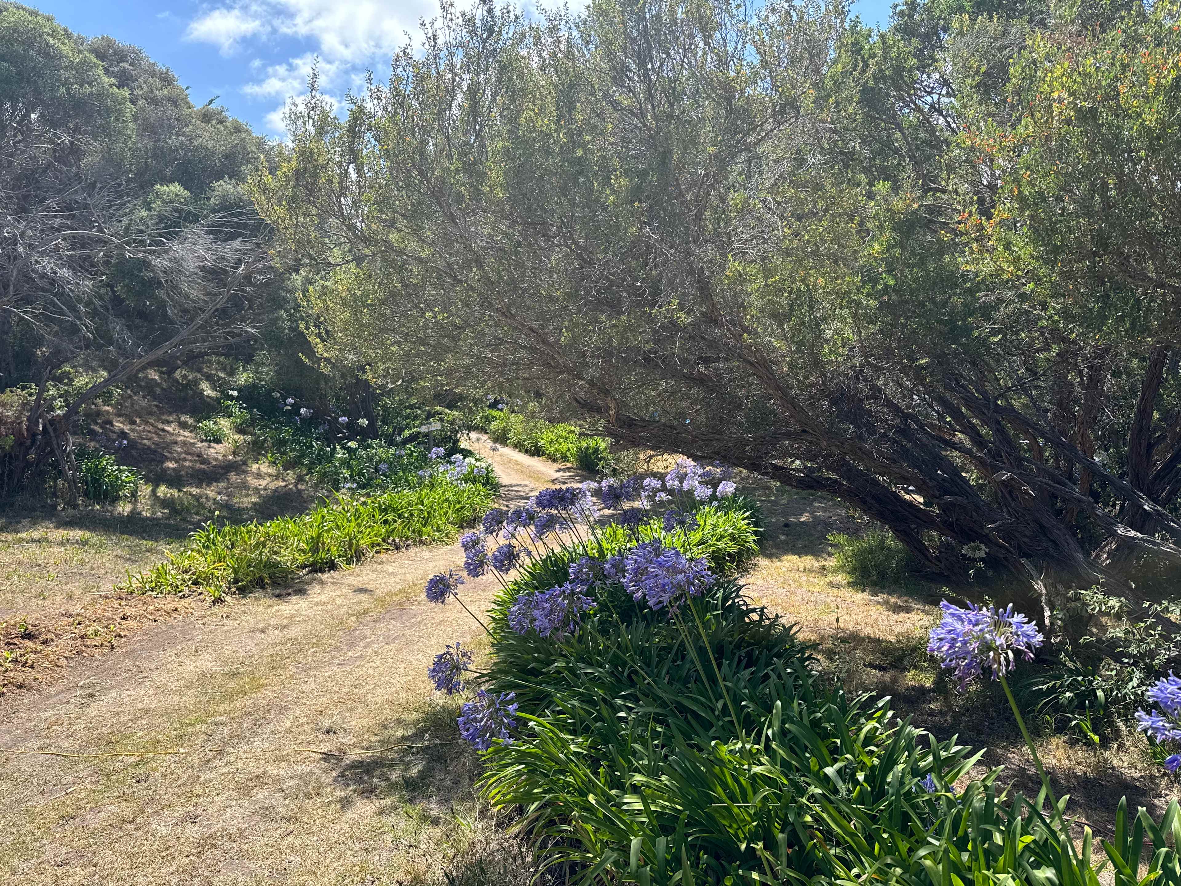 Mornington Peninsula Glamping.