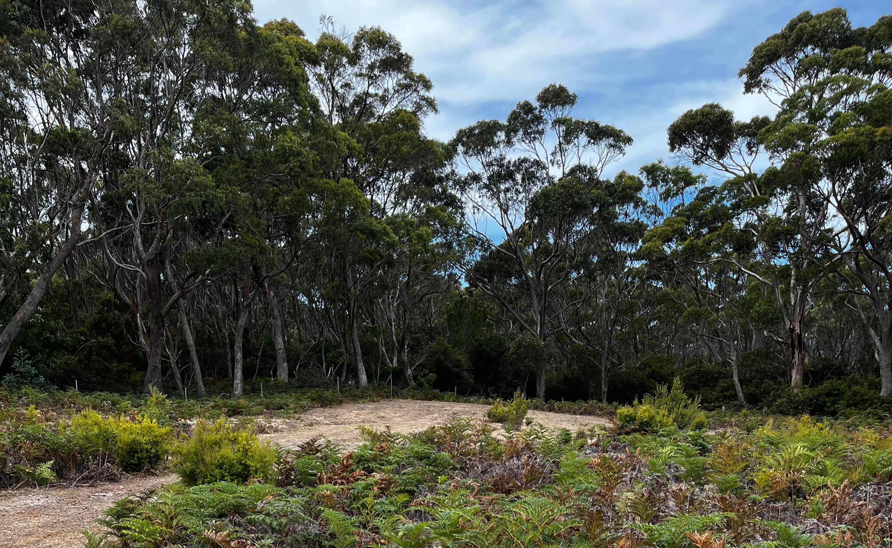 Springer is located in the north eastern corner of The Neck private campground. You could be sharing the 11 acres with guests occupying any of the other 10 campsites, however even if you have campsite neighbours, this is a nice private site. 