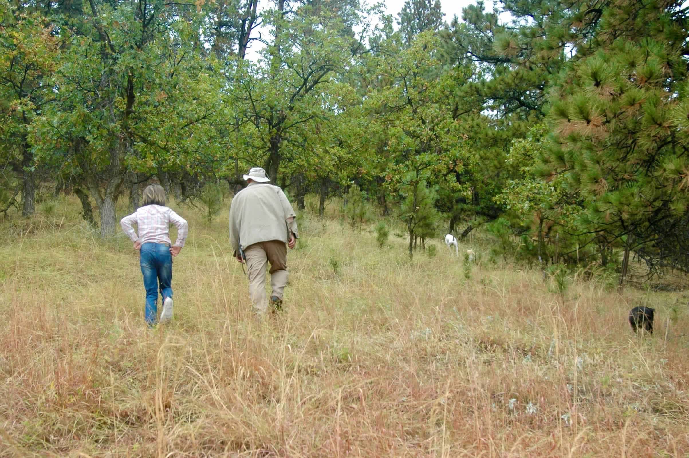 Picture of the site