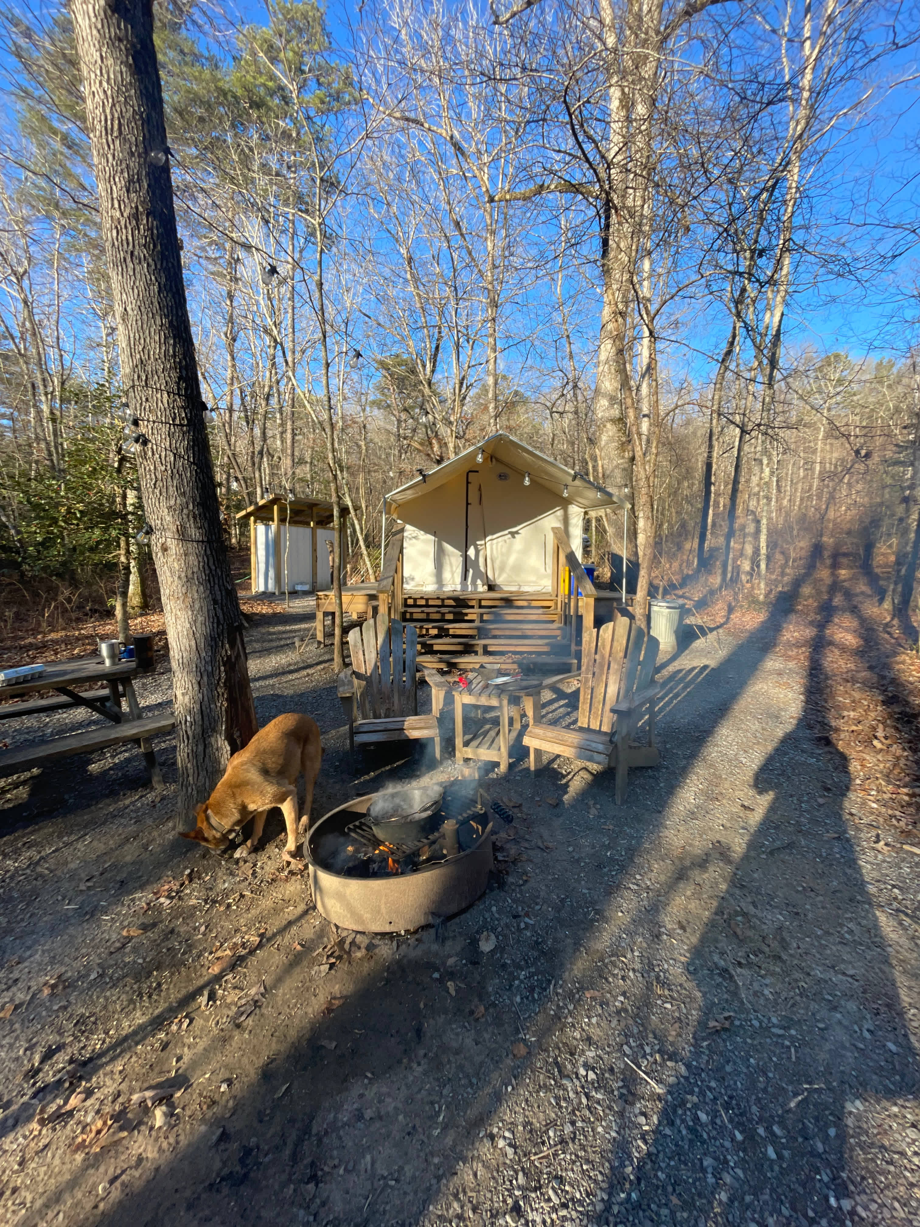 The Cynefin  Luxury Safari Tent