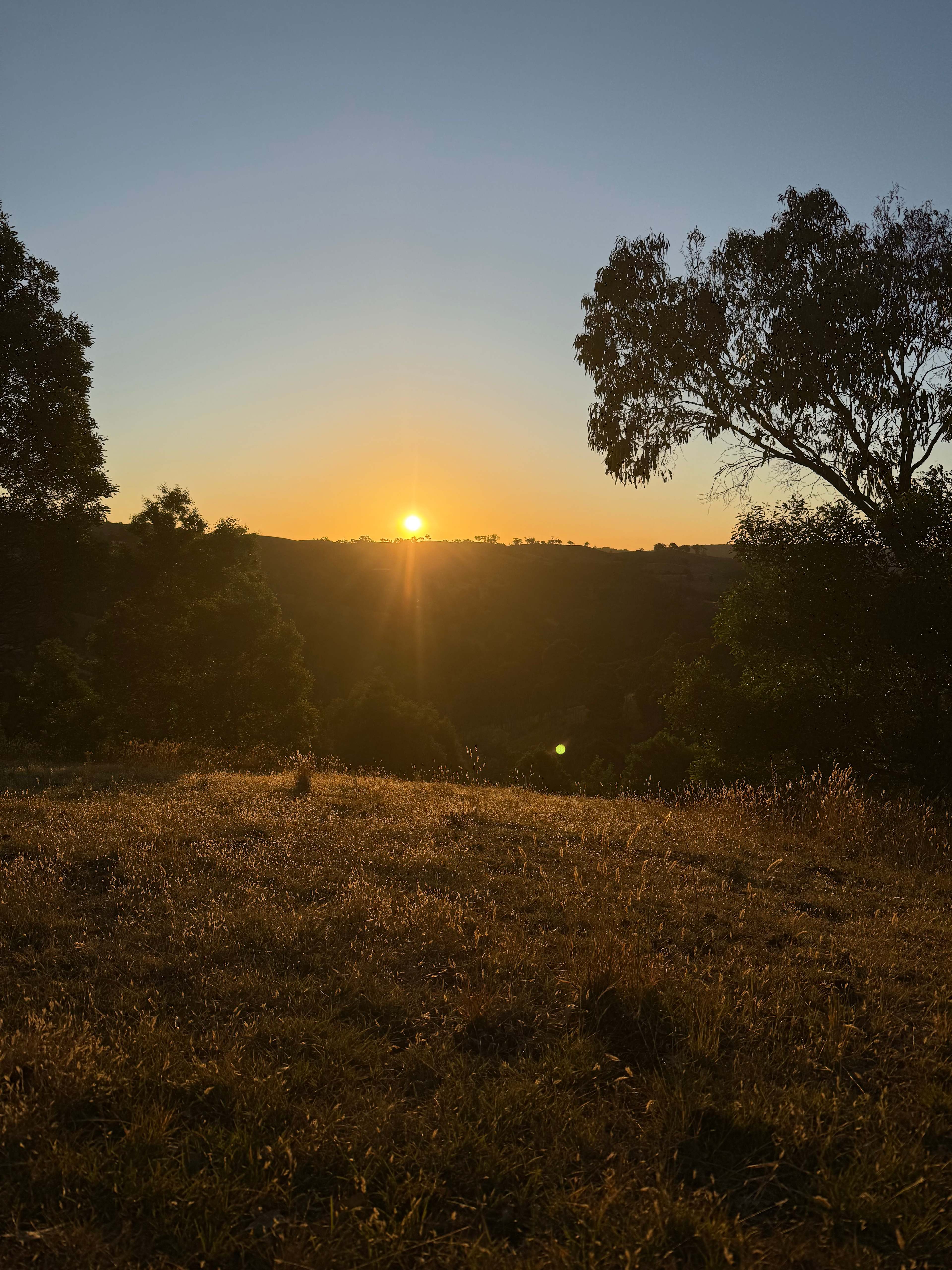 52 acre property with amazing views