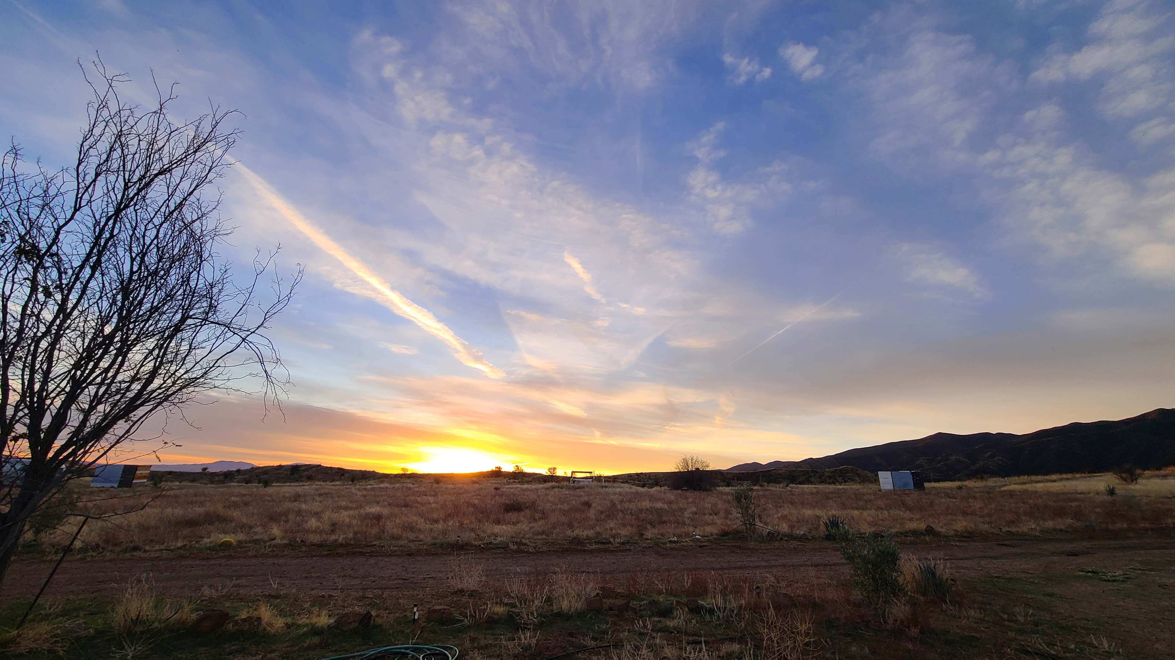 Cuyama Oaks Ranch