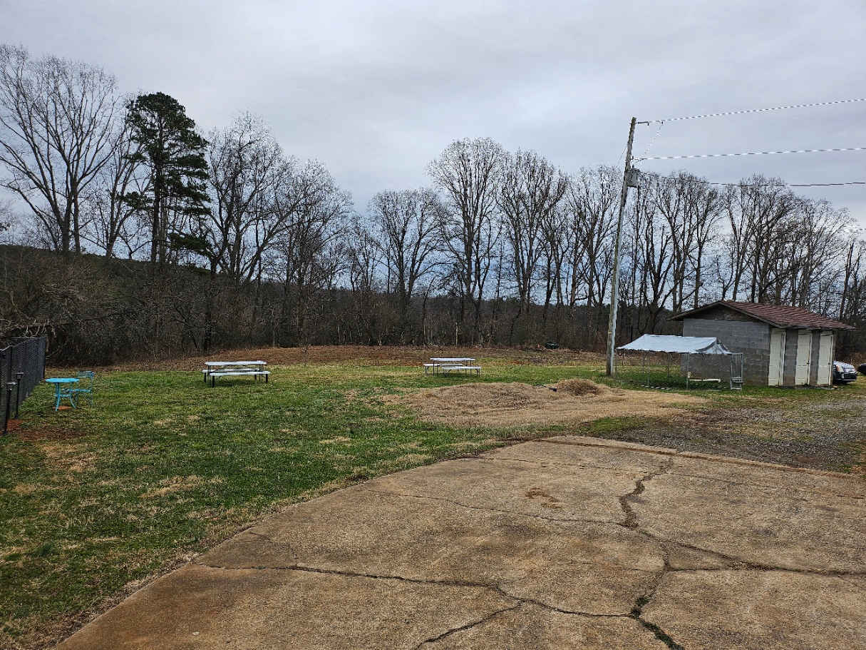 🌲 Welcome To Southern Love Farm