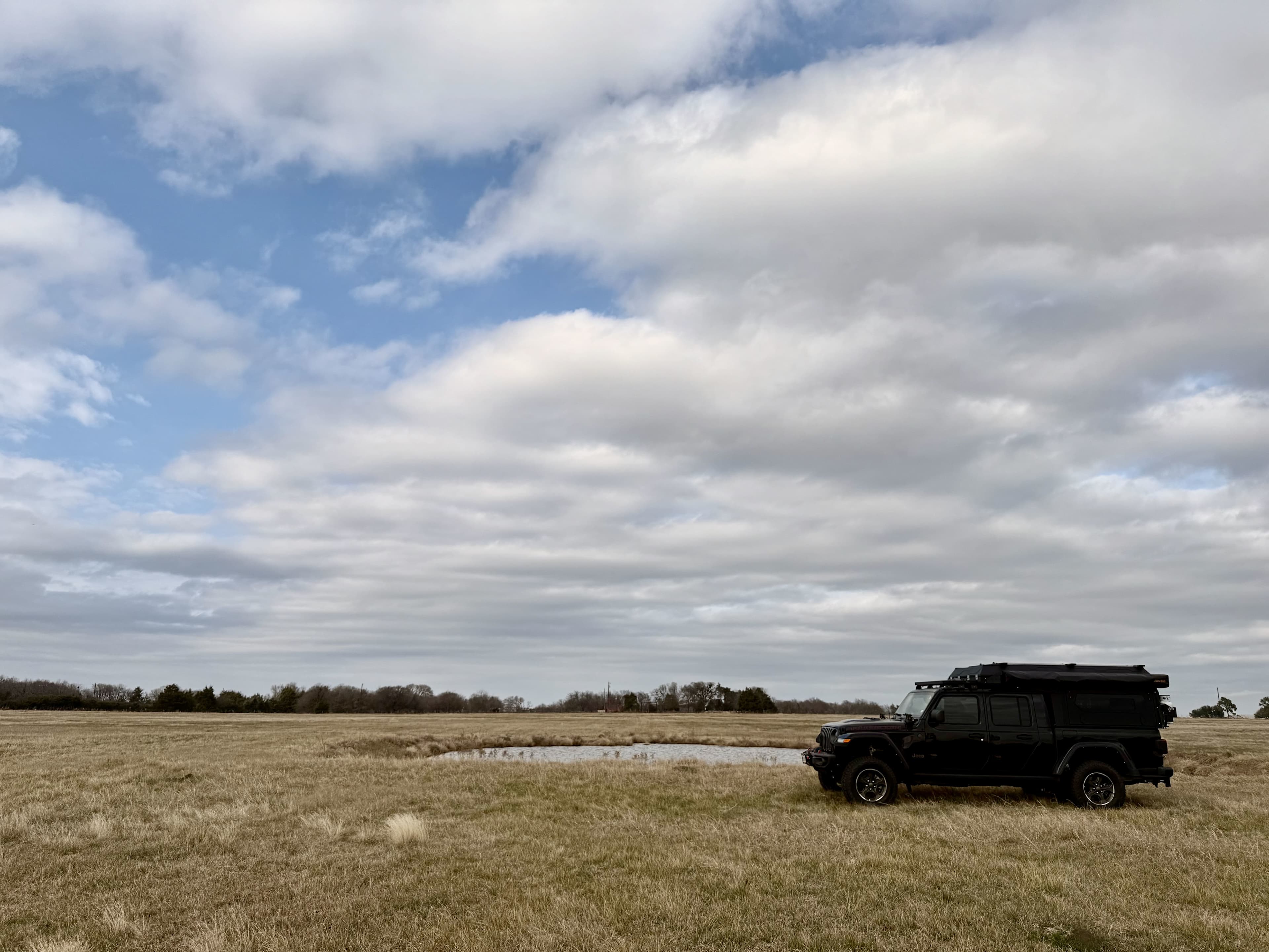 The W of Texas