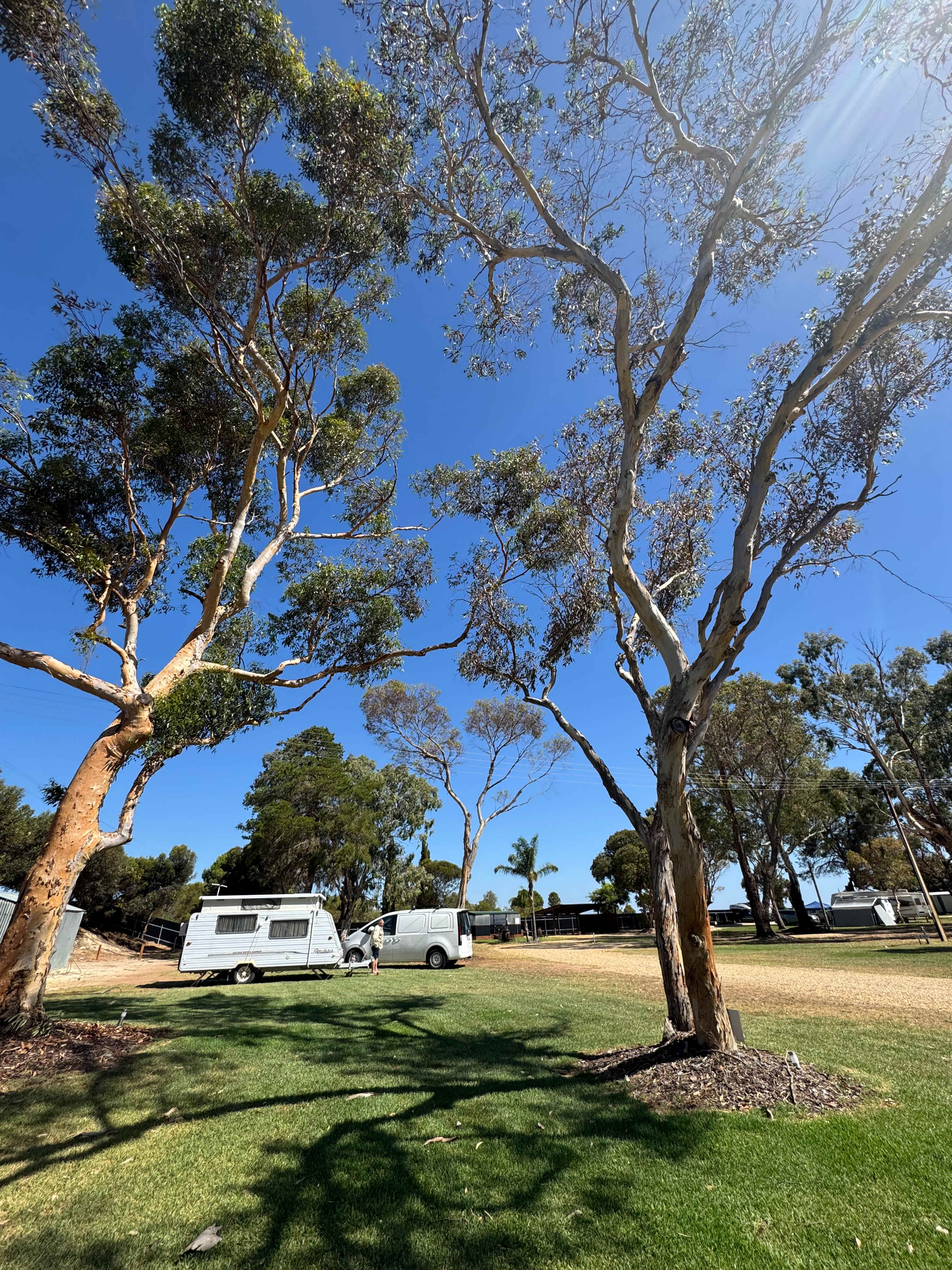 Waterfront Holiday Park