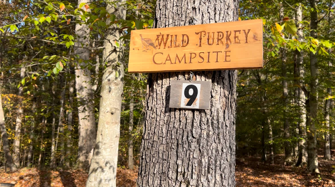 Wild Turkey campsite is one of our most popular sites! It is a mostly level spot for a tent or camper. It has several large trees which are perfect for hanging a hammock. It is close to the restroom. It has a picnic table, a swing, and a fire pit. There is extra parking in this area as well as it being centrally located throughout the campground. It is away from the high winds that you get on the ridge and protected by trees, yet you can see the stars in the big open clearing in front of the campsite. These features makes it one of the most selected sites of our campground! Be sure to rent a golf cart in advance for the day!