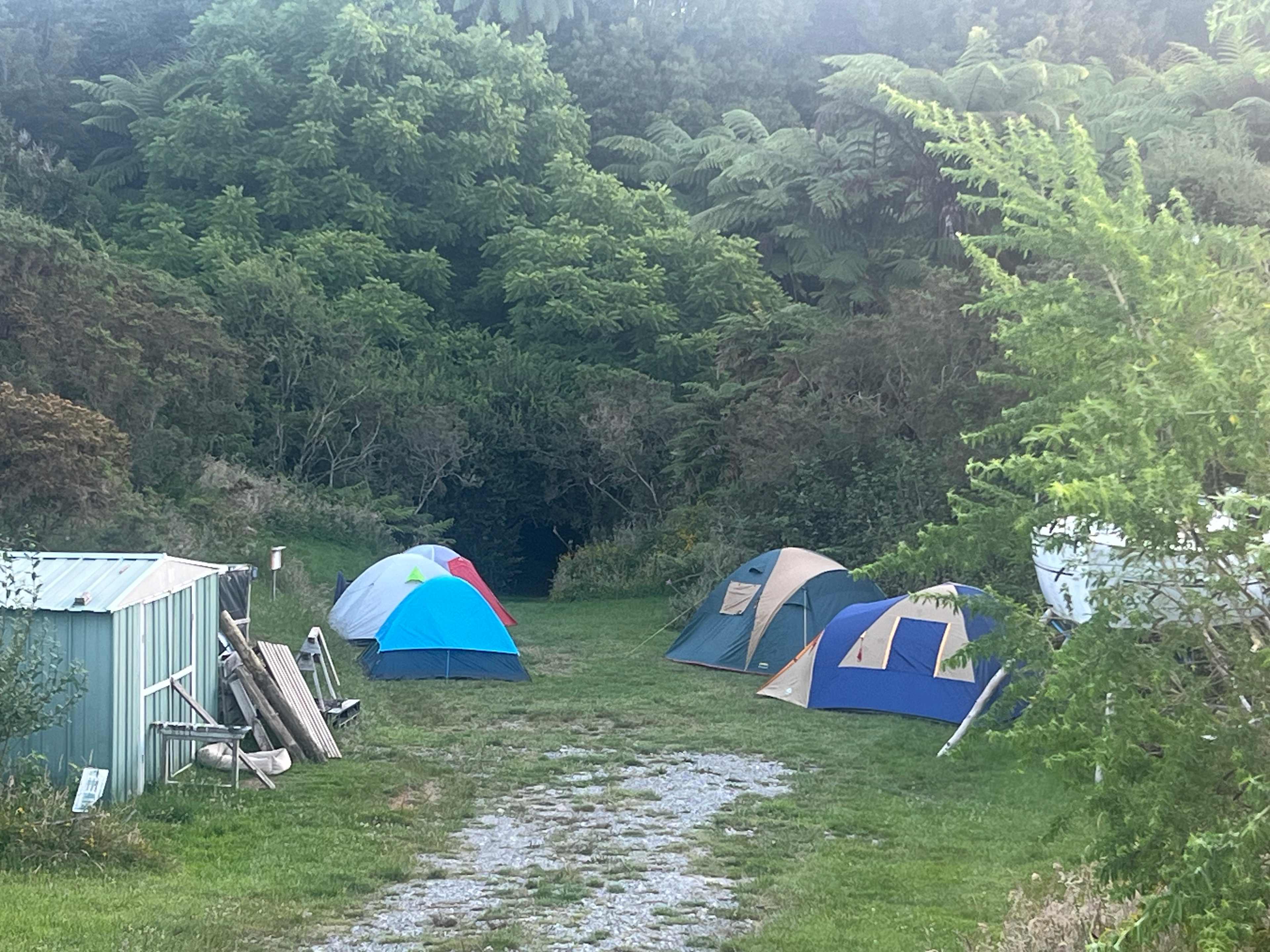 Camp in nature close to Hobbiton