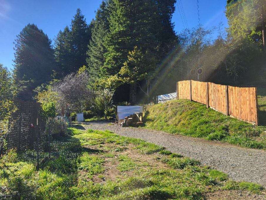 Redwoods Rest Stop