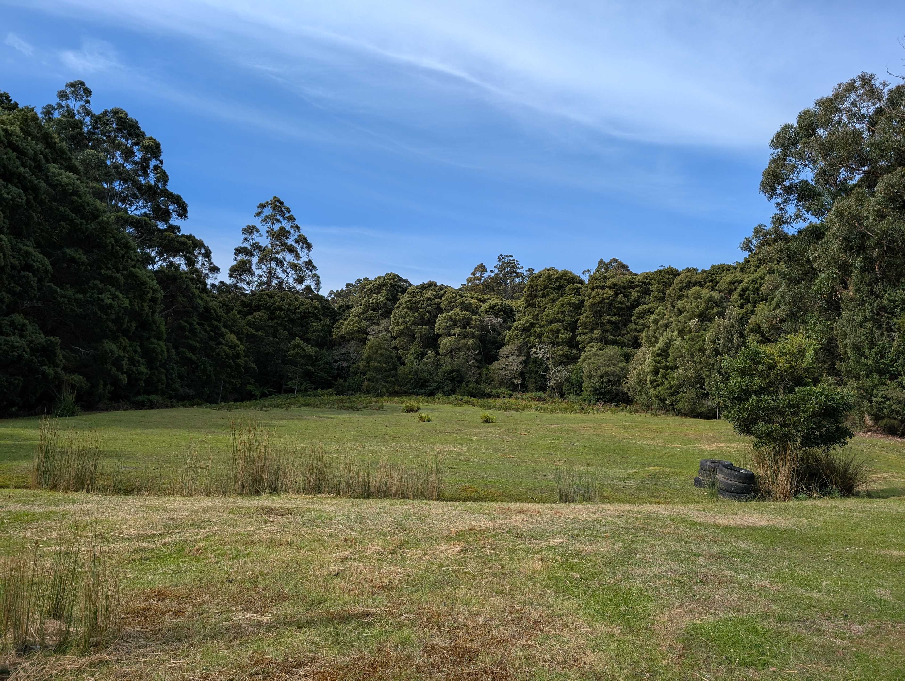 Site 2, flat land, suited to tents, vans or smaller caravans. No reception.