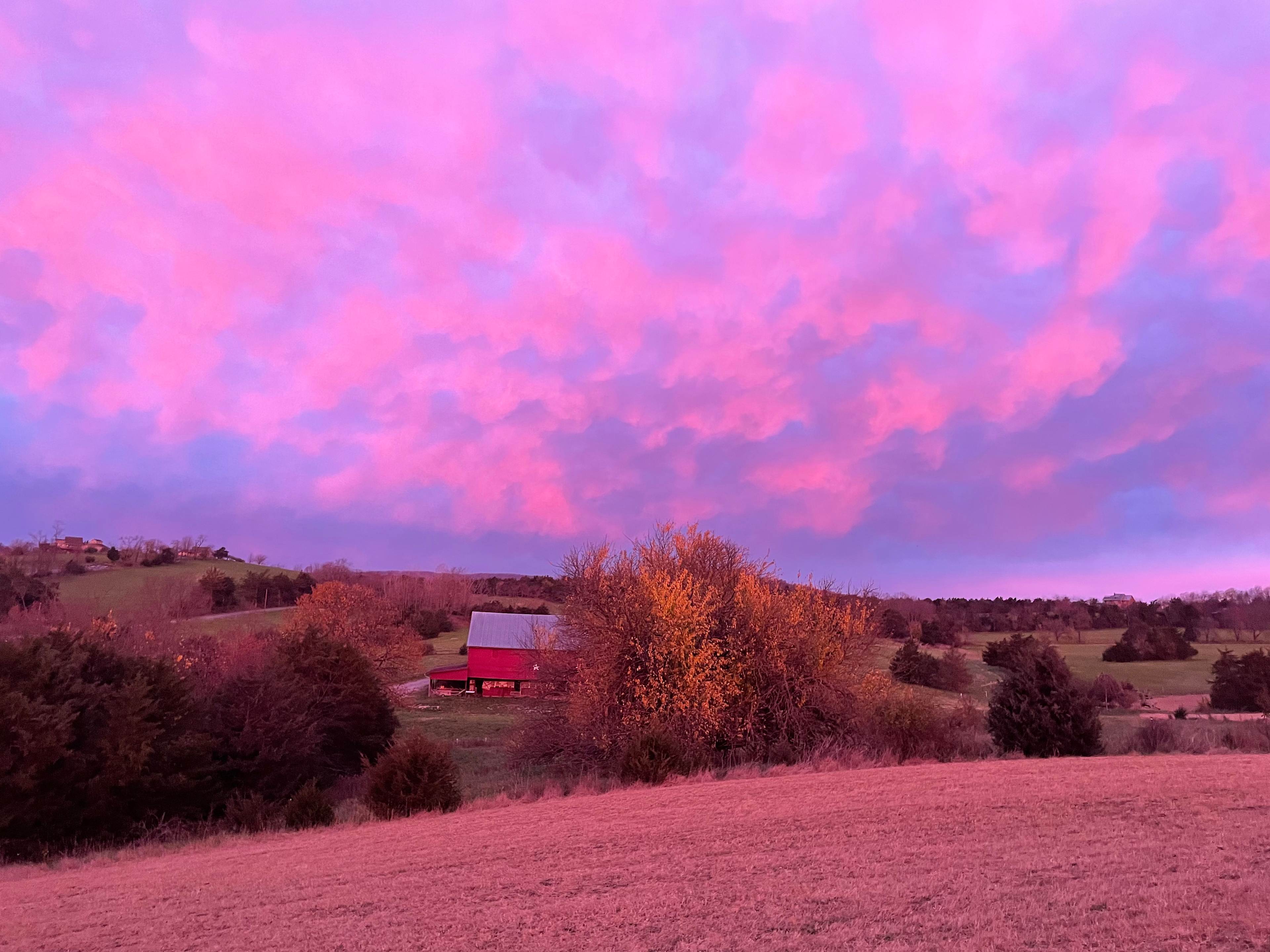 Golden Meadows Farm