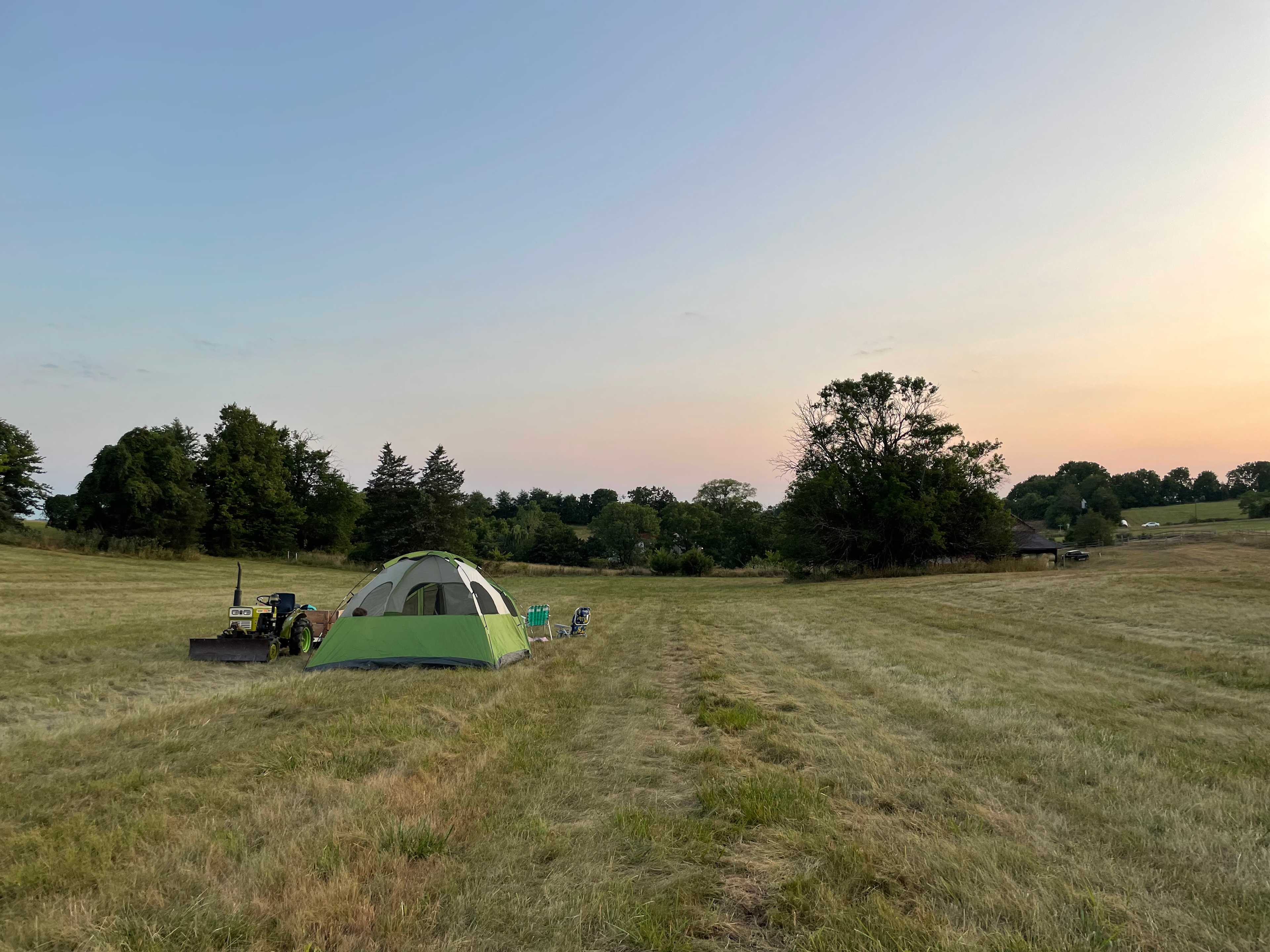 Golden Meadows Farm