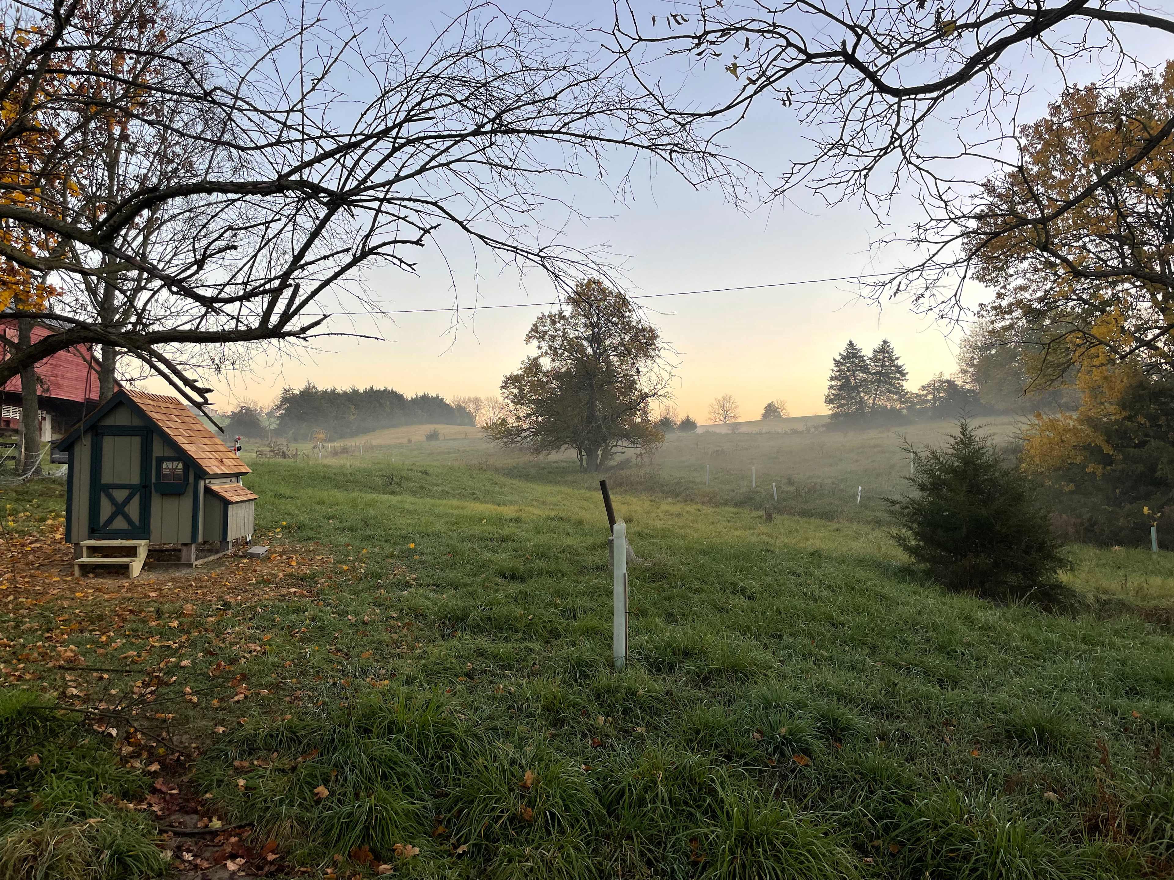 Golden Meadows Farm