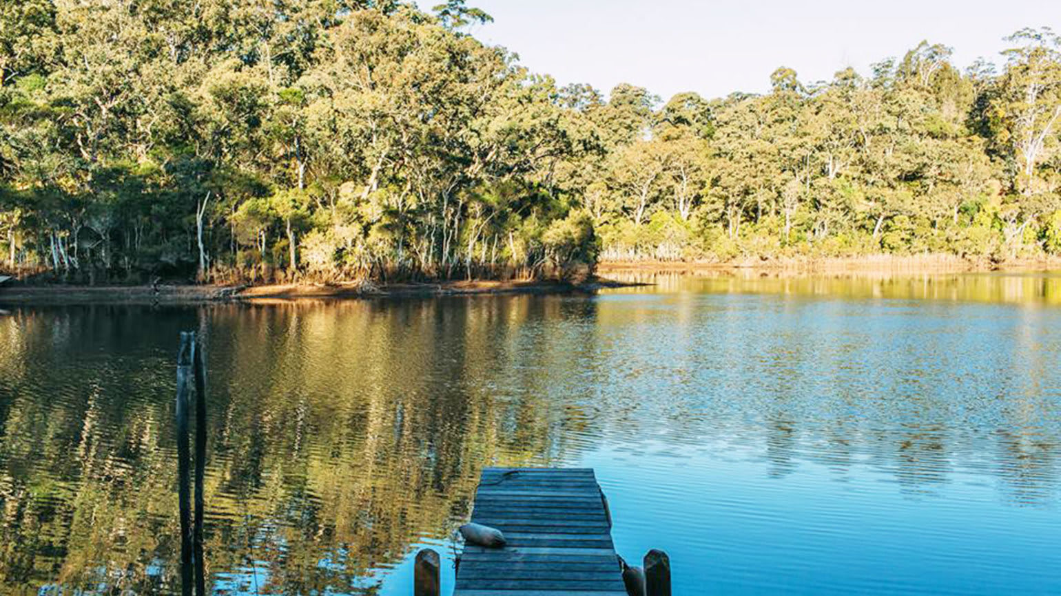 Lyrebird Lakehouse