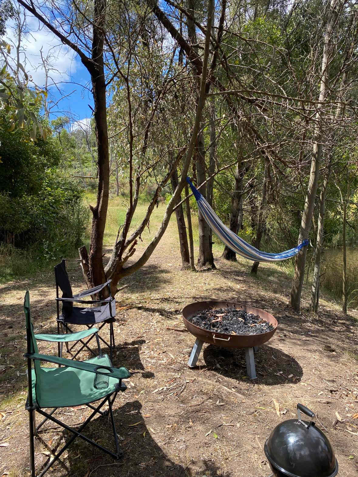 Reedy Creek Camping