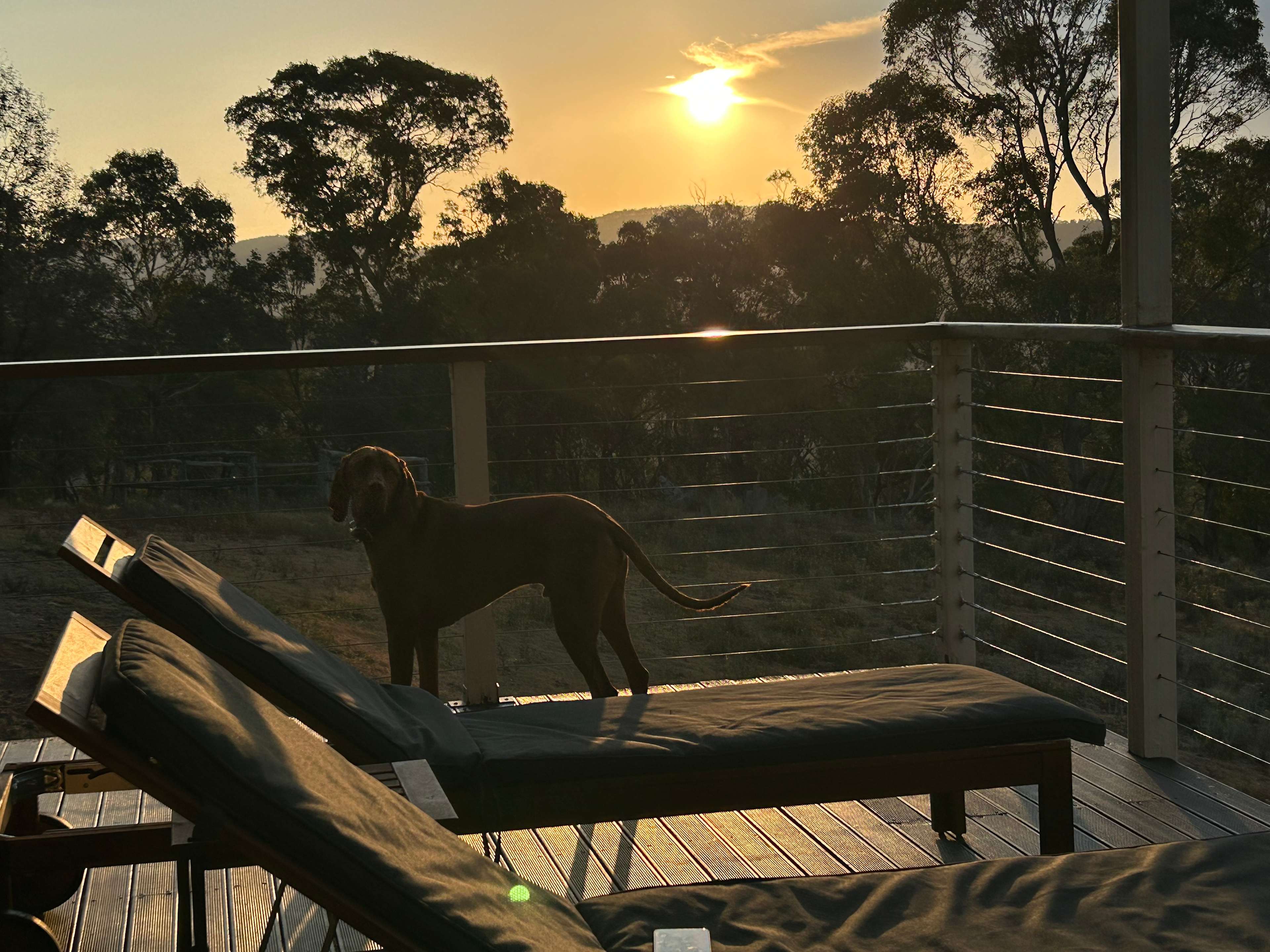 Riverside Camping, Glamping, Cabins